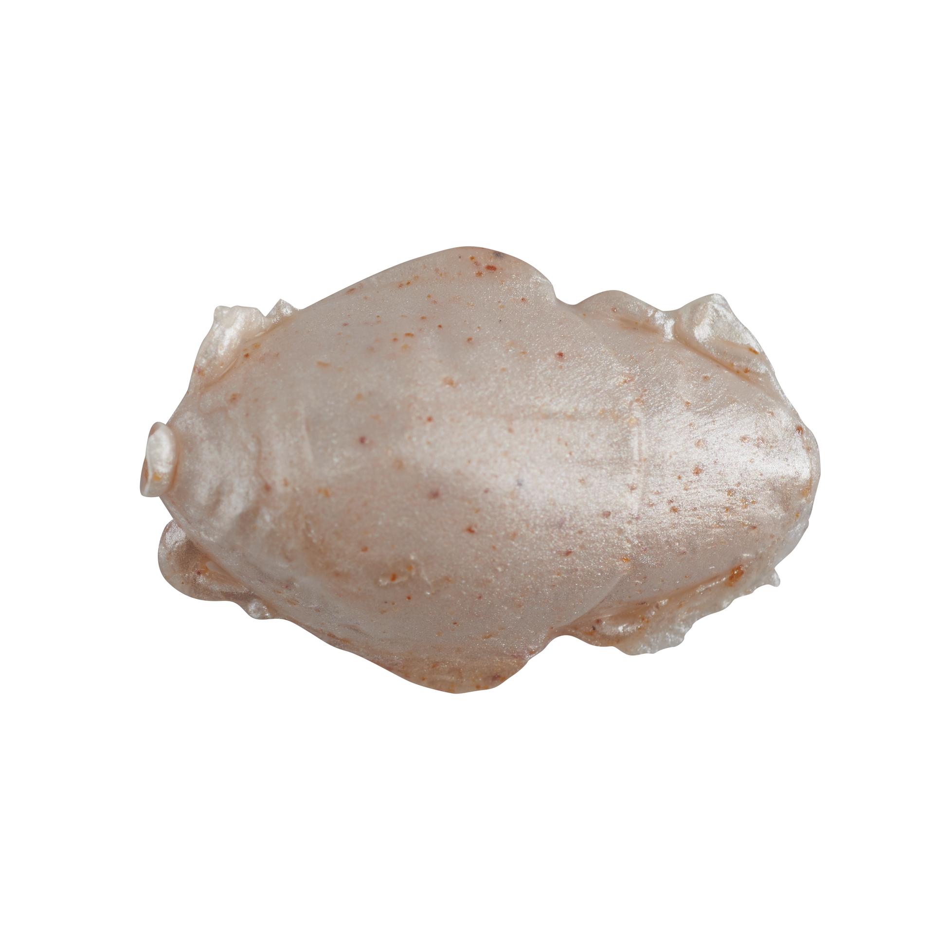berkley crab fishing Berkley Gulp! Sand Crab Flea, 1" Amber Glow
