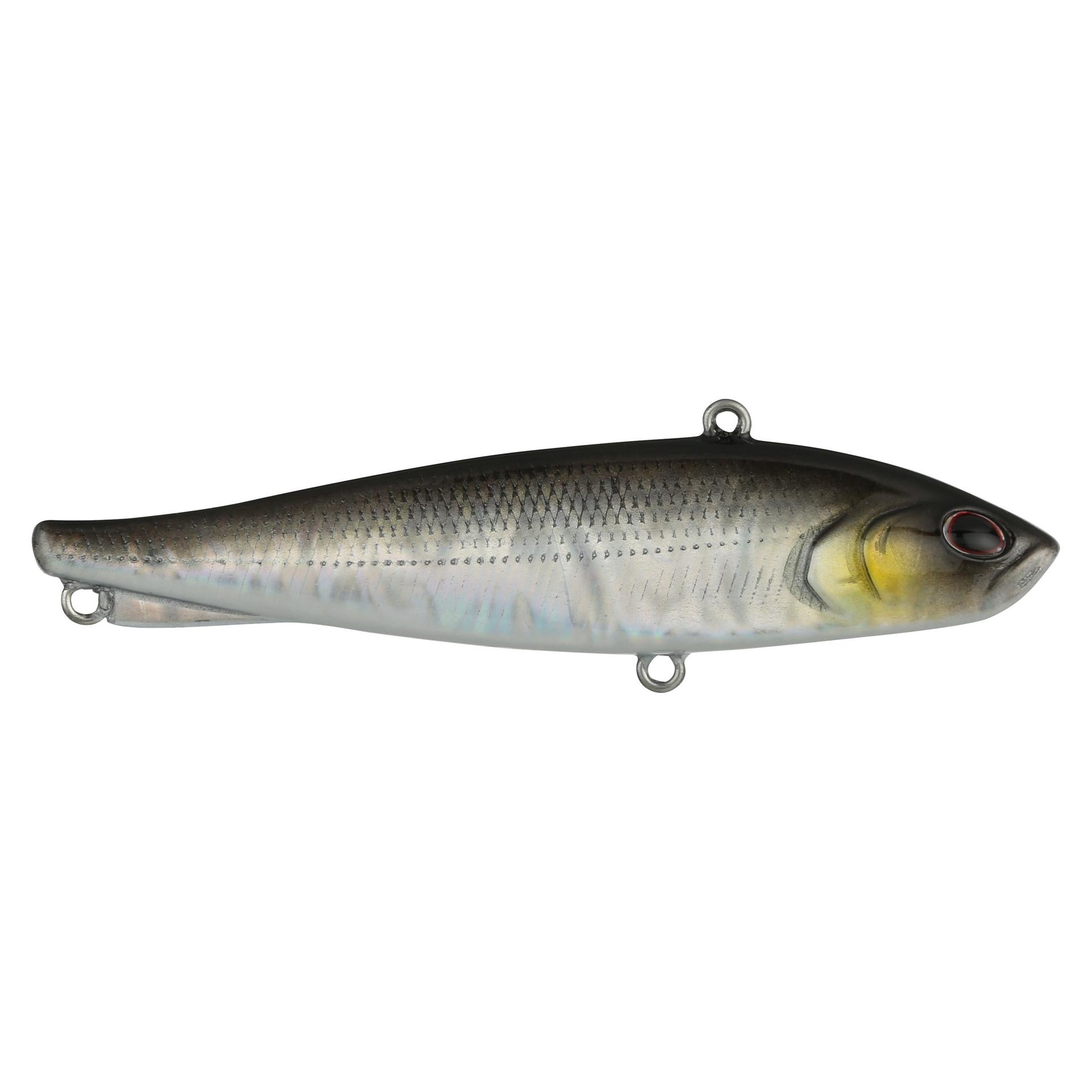 Ripfish| Berkley®