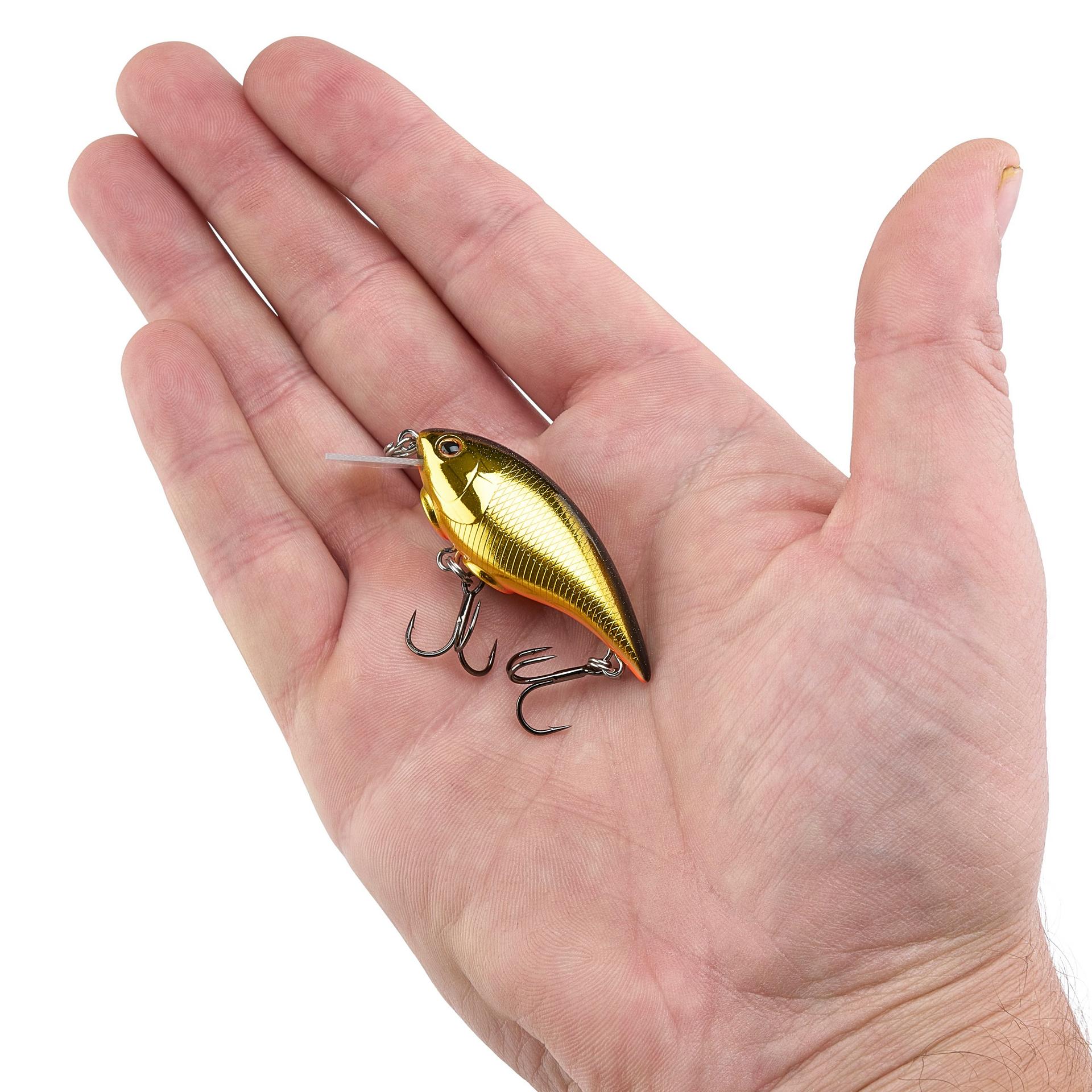 Shallow Money Badger| Berkley®