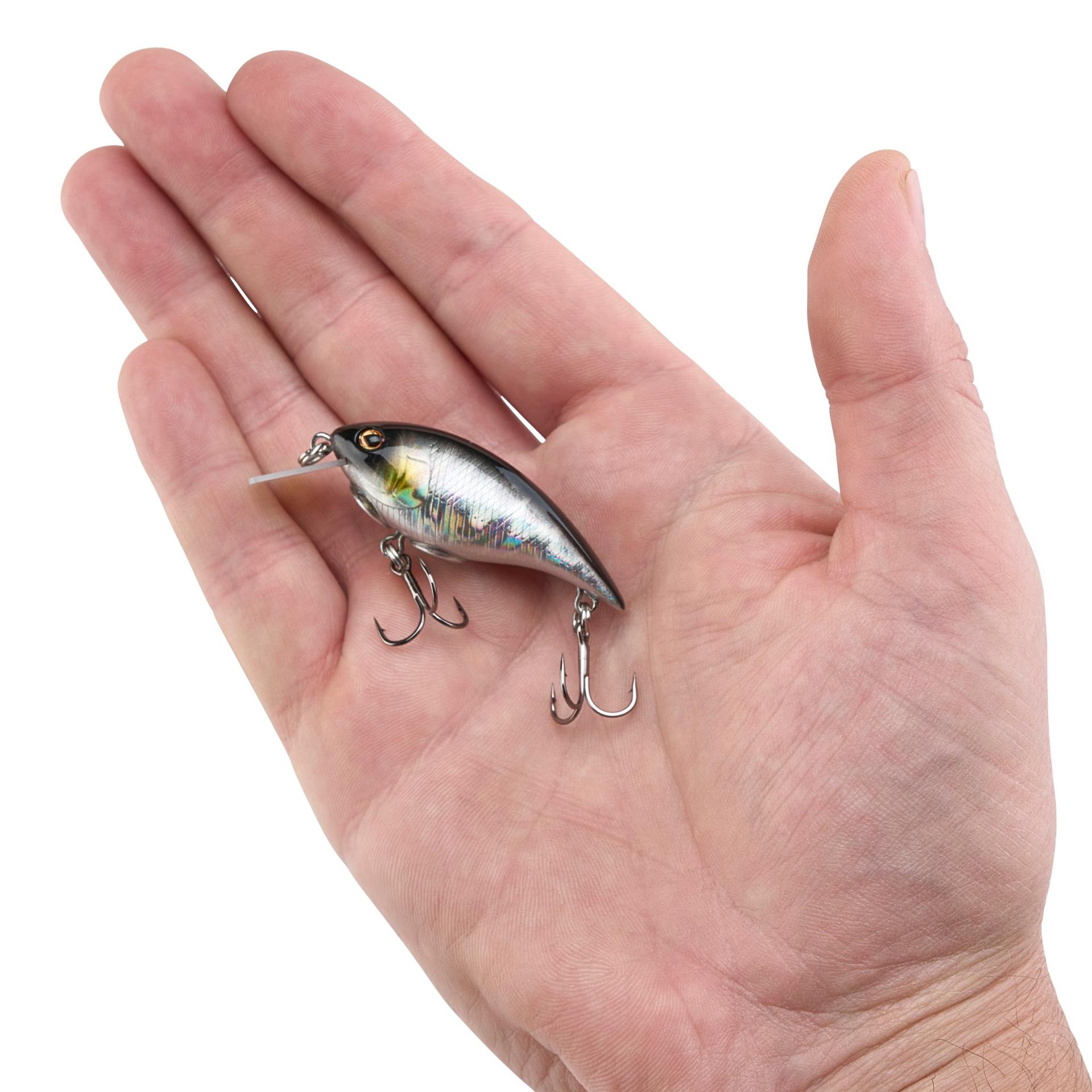 Shallow Money Badger| Berkley®