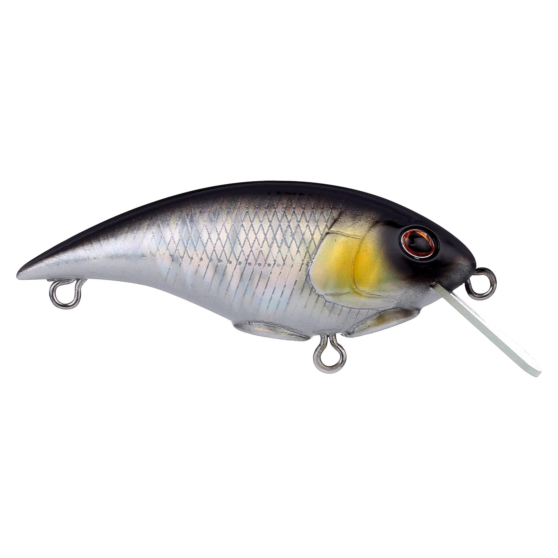 Shallow Money Badger| Berkley®