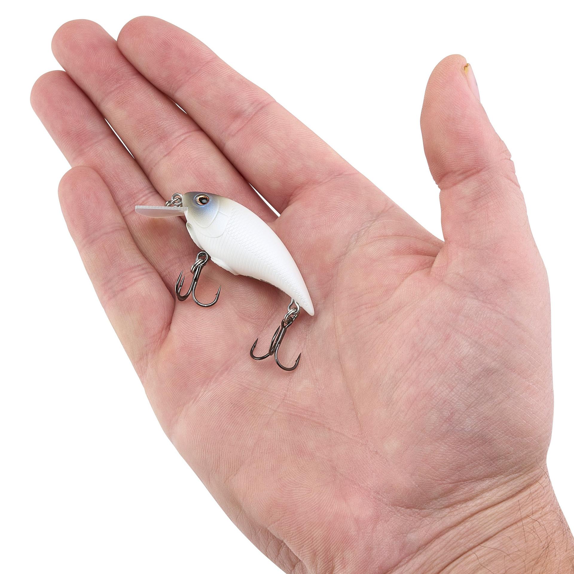 Shallow Money Badger| Berkley®