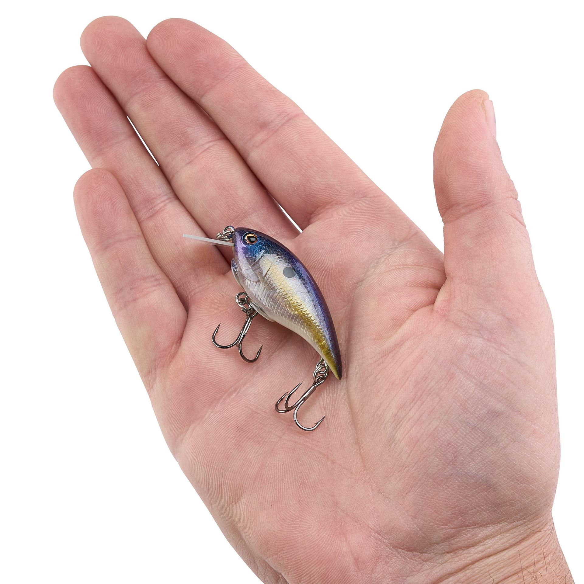 Shallow Money Badger| Berkley®