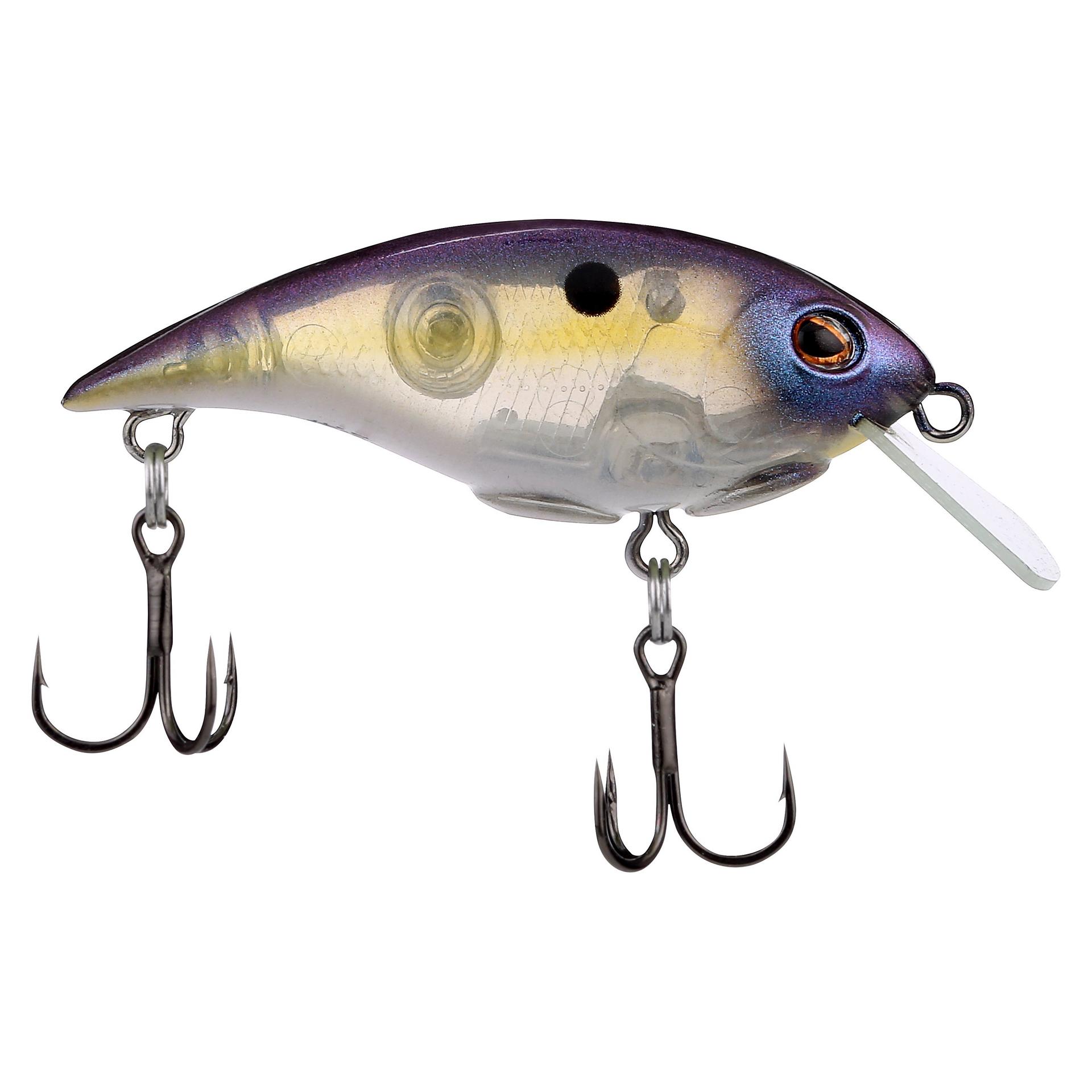 Shallow Money Badger| Berkley®