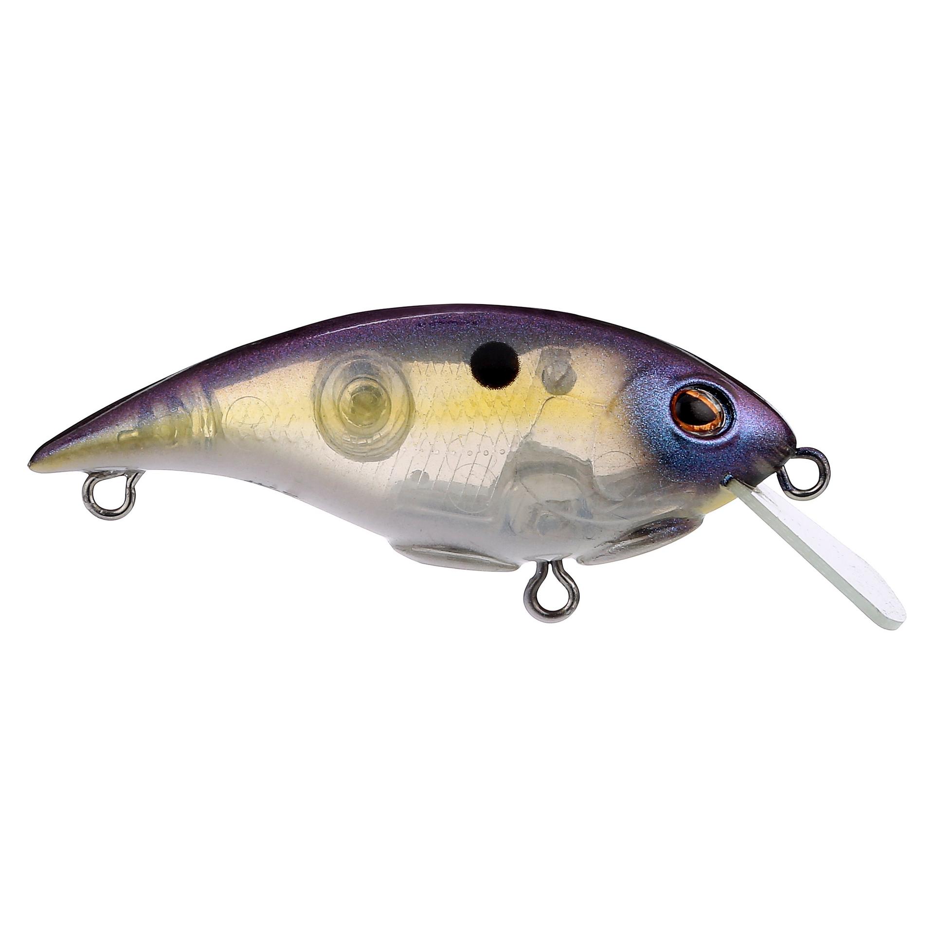 Shallow Money Badger| Berkley®