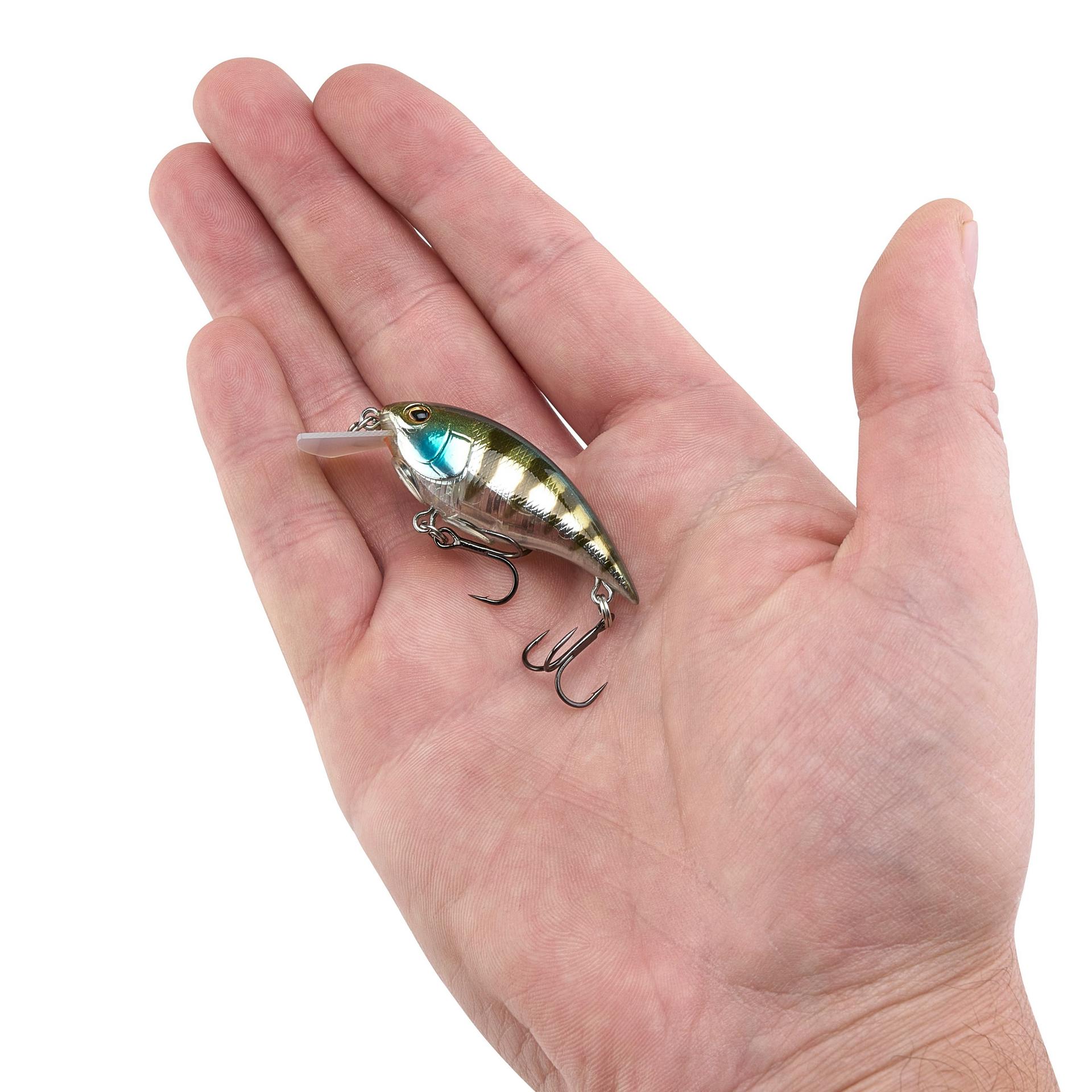 Shallow Money Badger| Berkley®