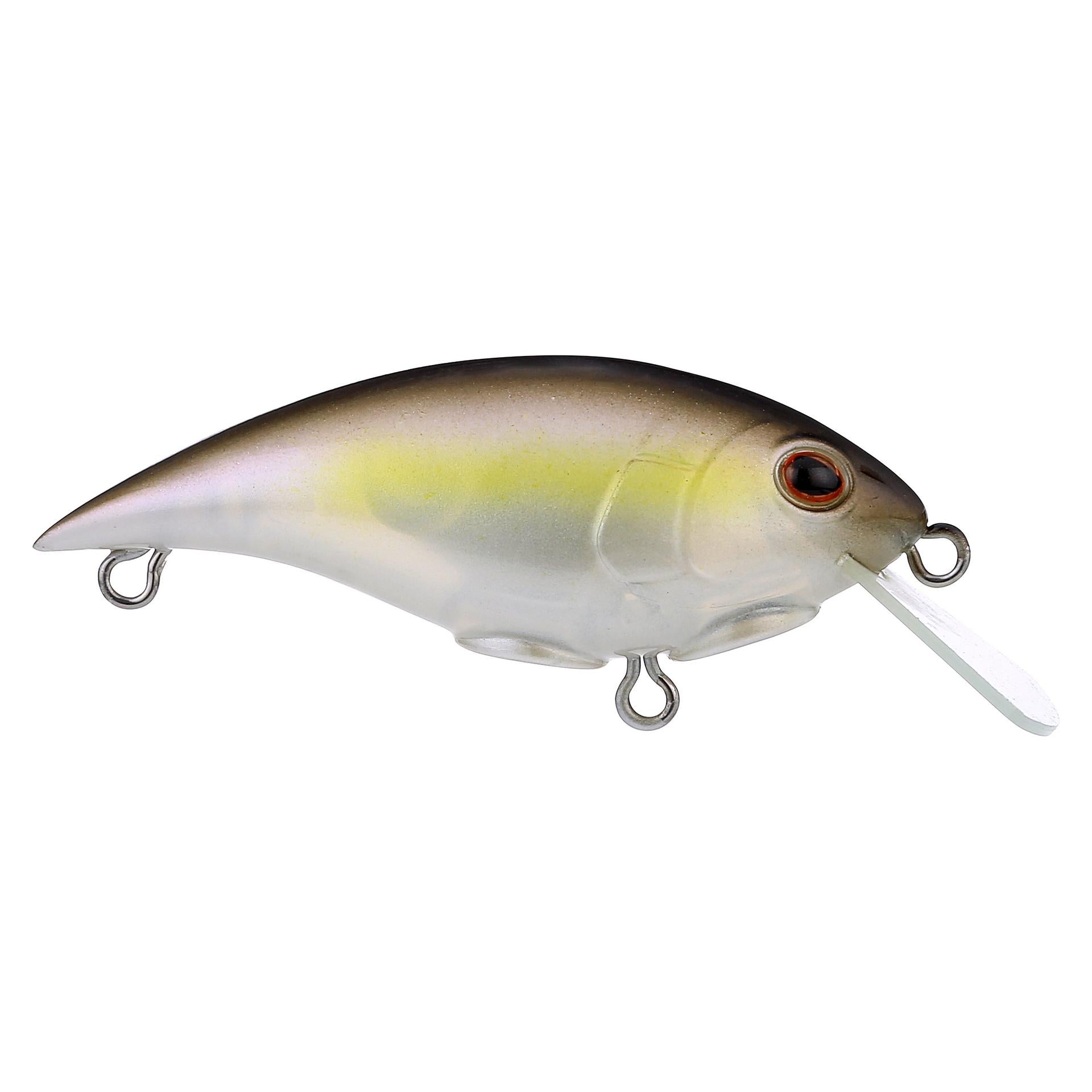 Shallow Money Badger| Berkley®