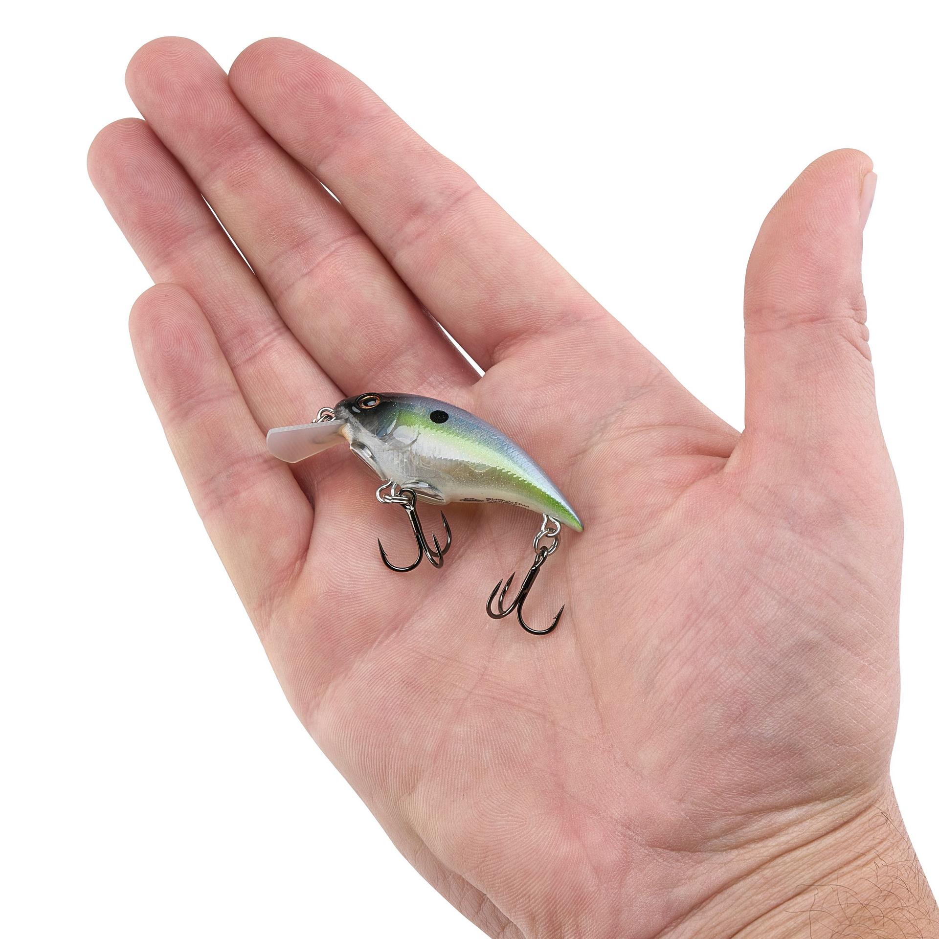 Shallow Money Badger| Berkley®