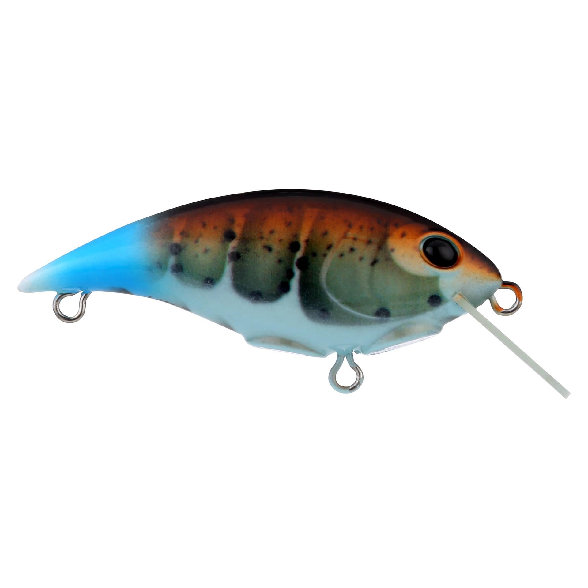 Shallow Money Badger| Berkley®