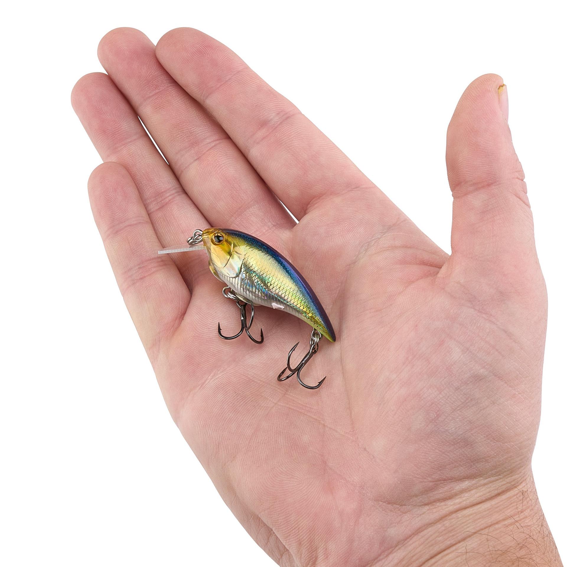 Shallow Money Badger| Berkley®
