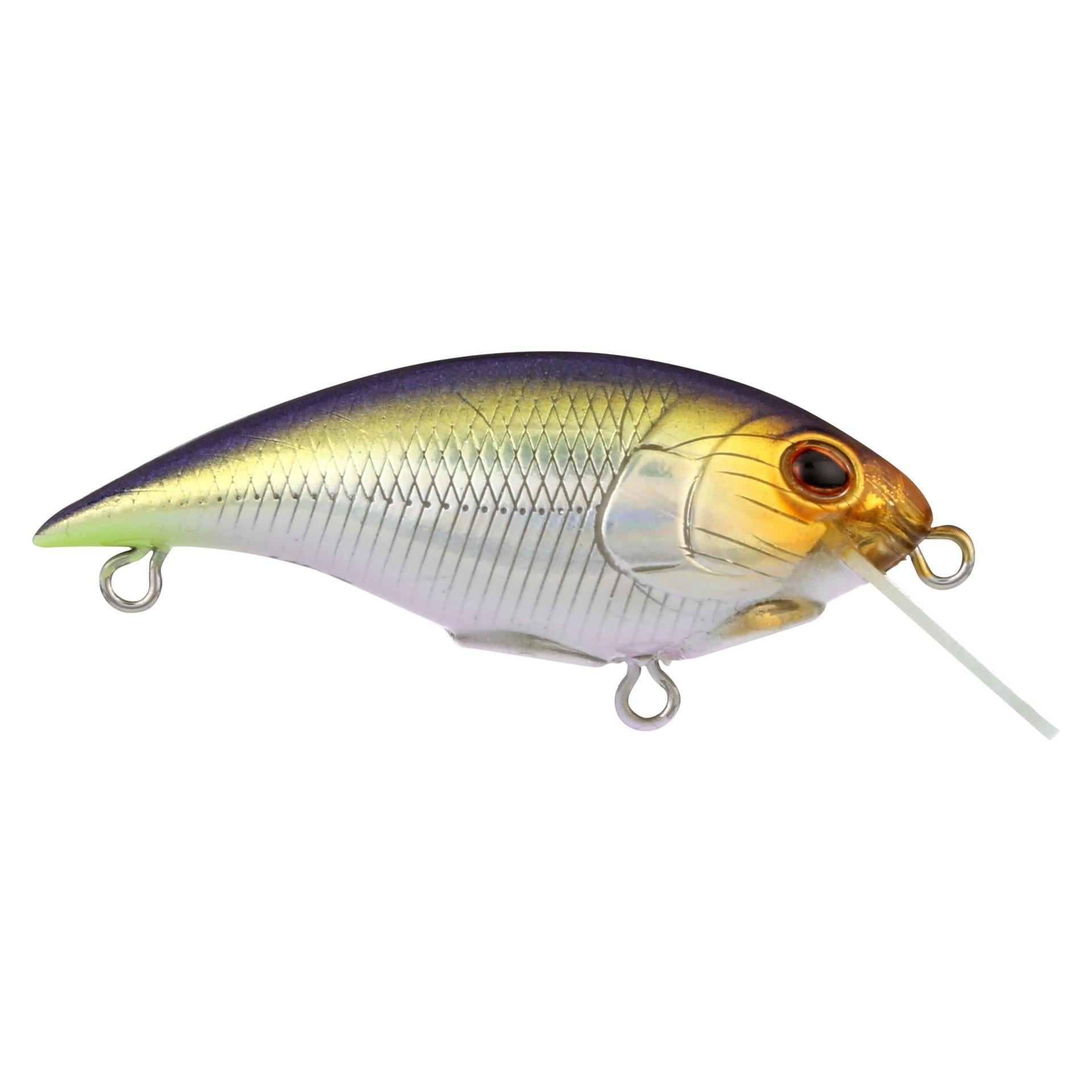 Shallow Money Badger| Berkley®