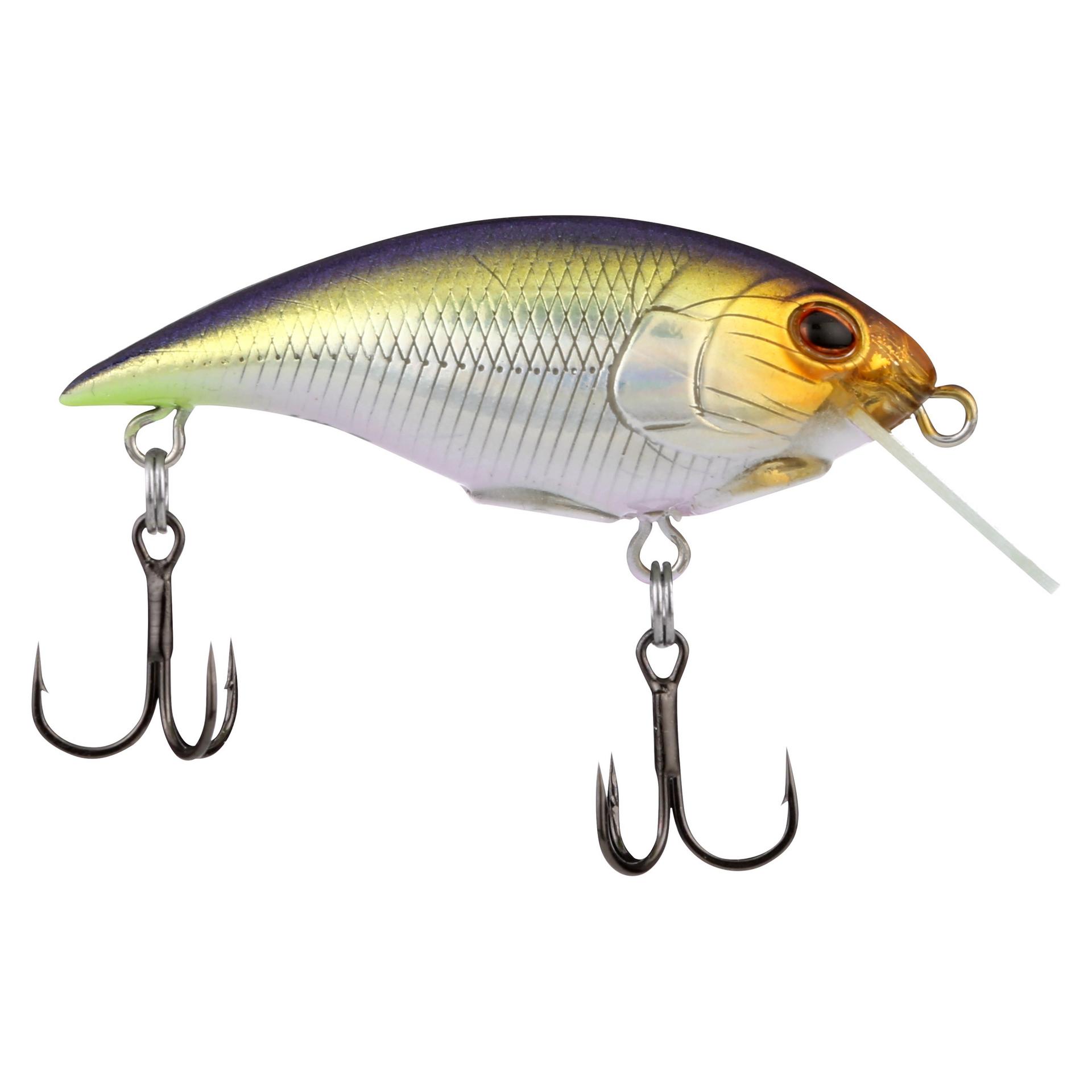 Shallow Money Badger| Berkley®