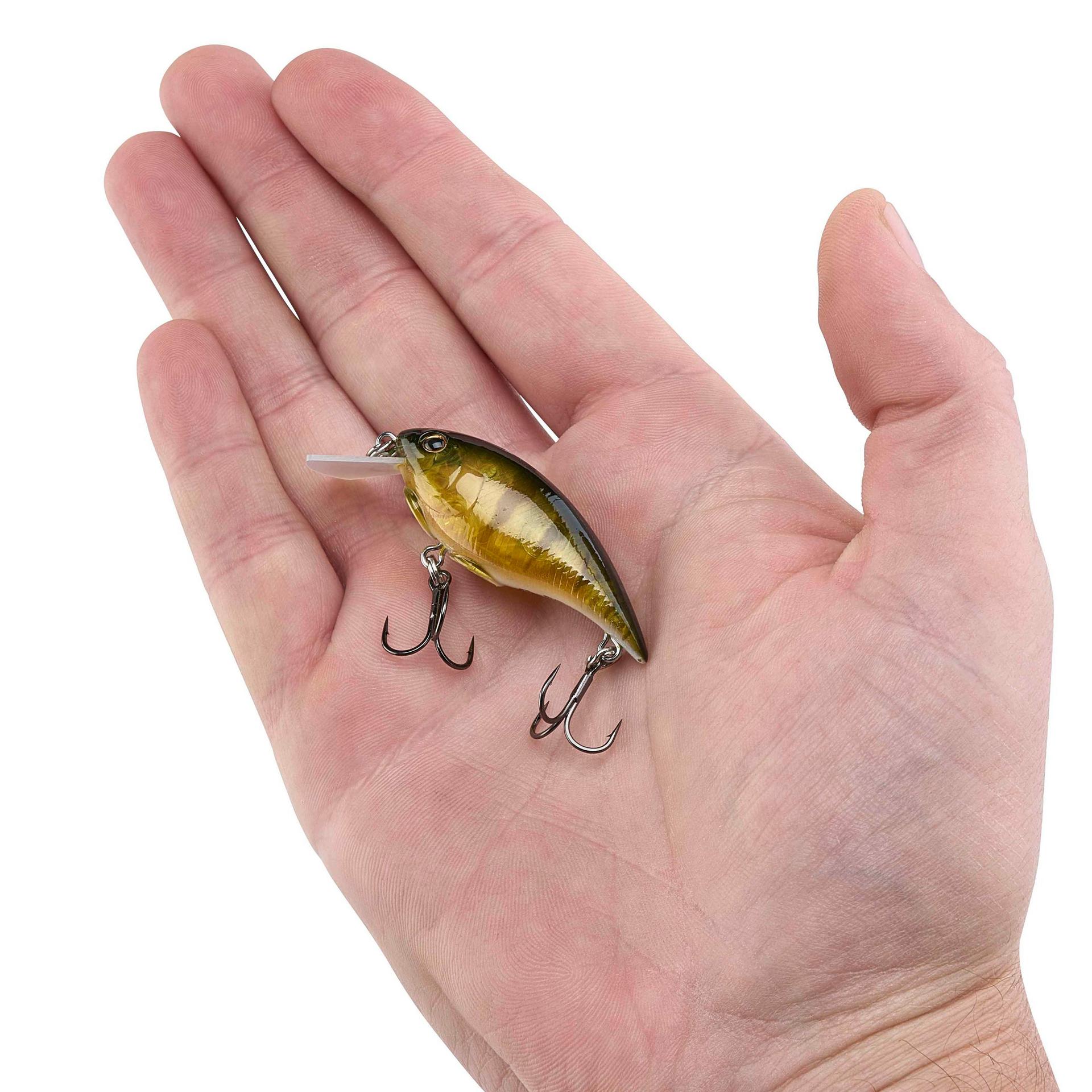 Shallow Money Badger| Berkley®