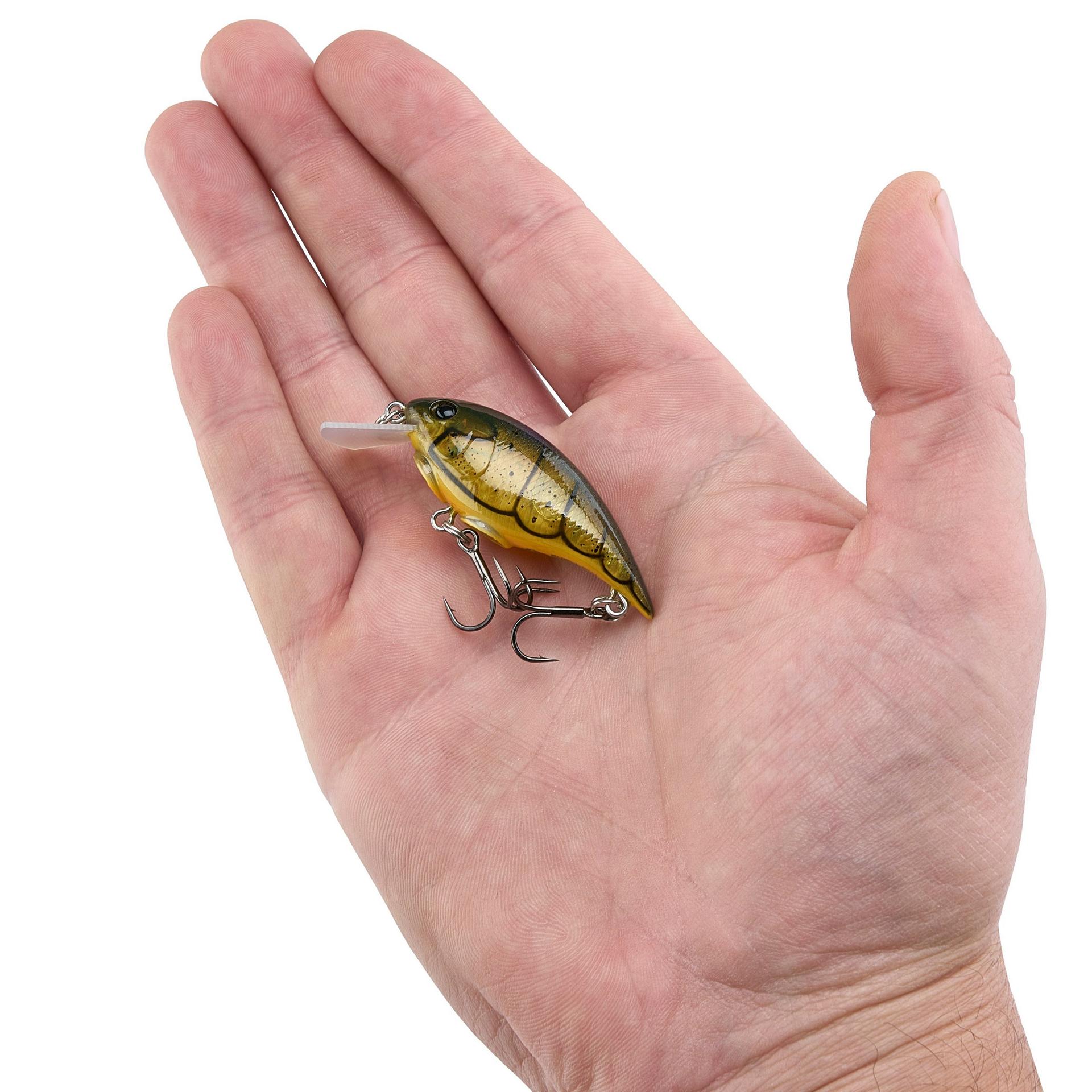 Shallow Money Badger| Berkley®