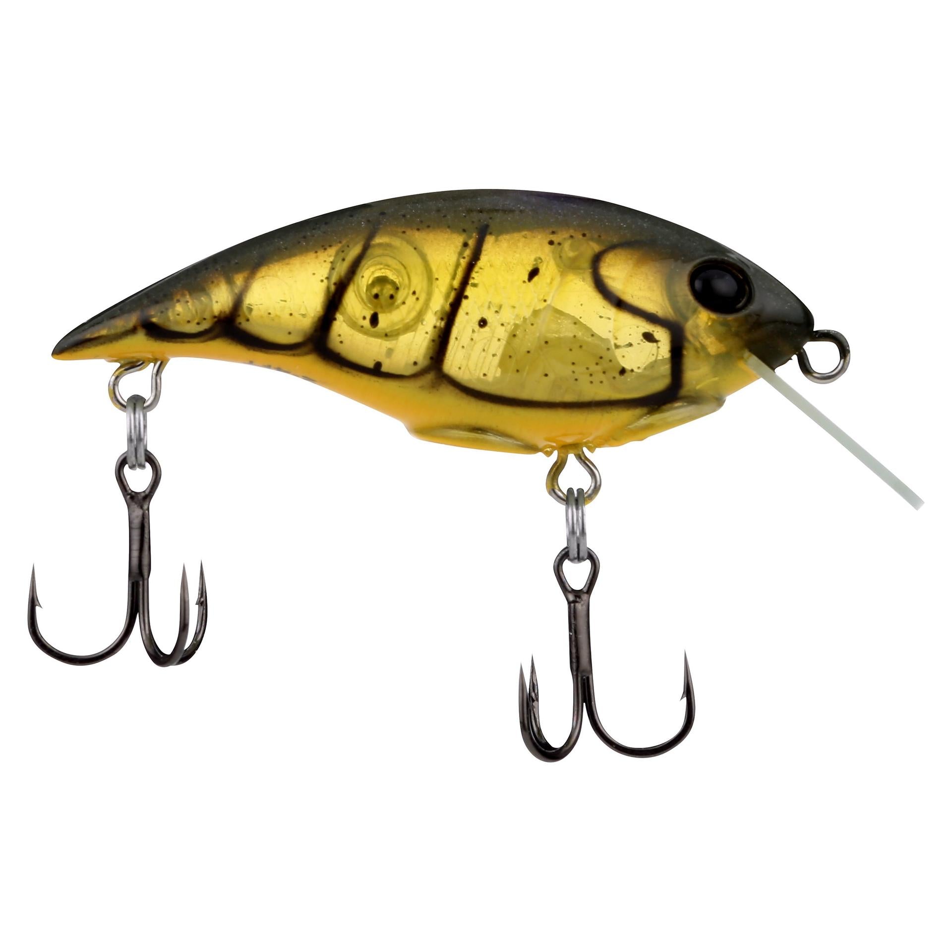 Shallow Money Badger| Berkley®
