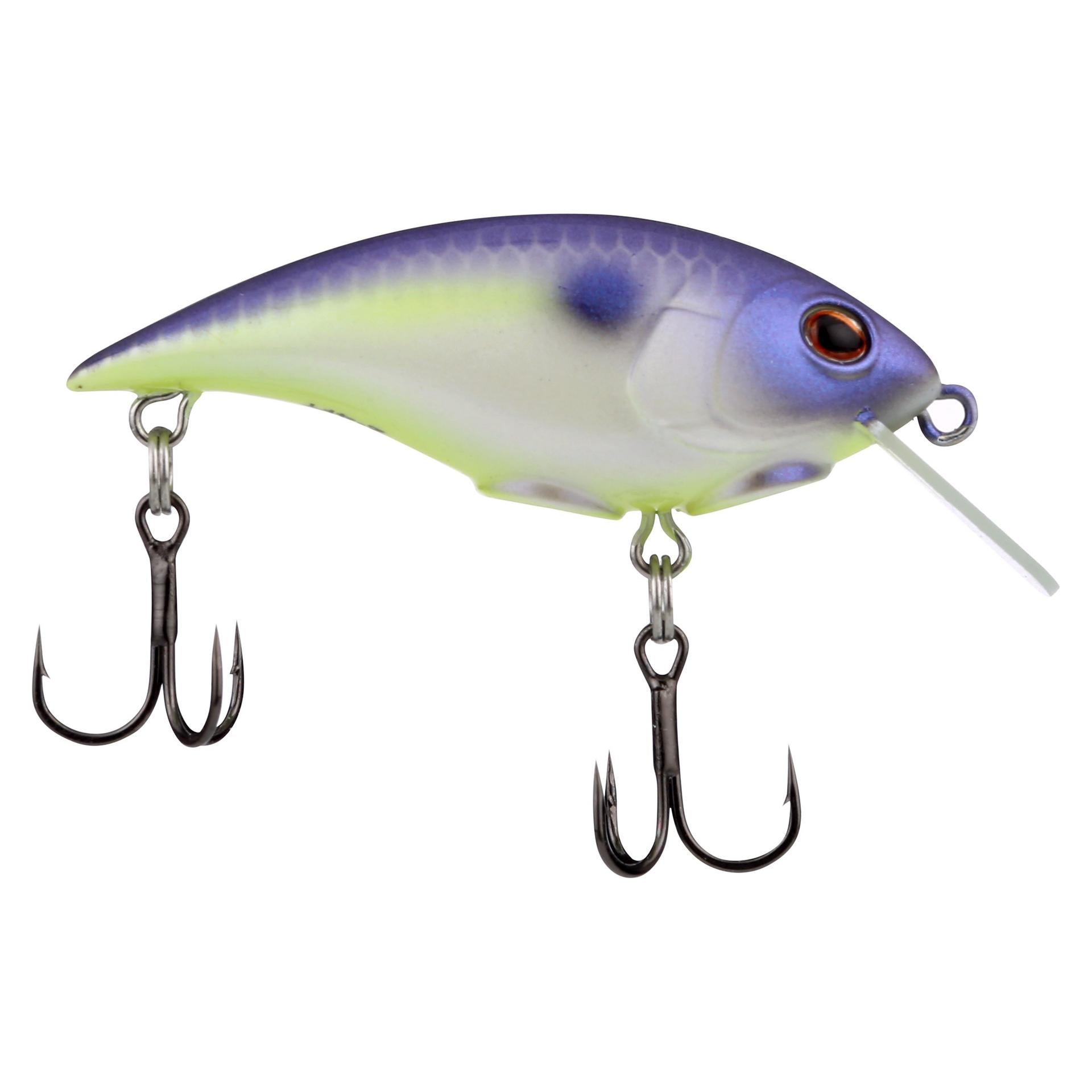 Shallow Money Badger| Berkley®