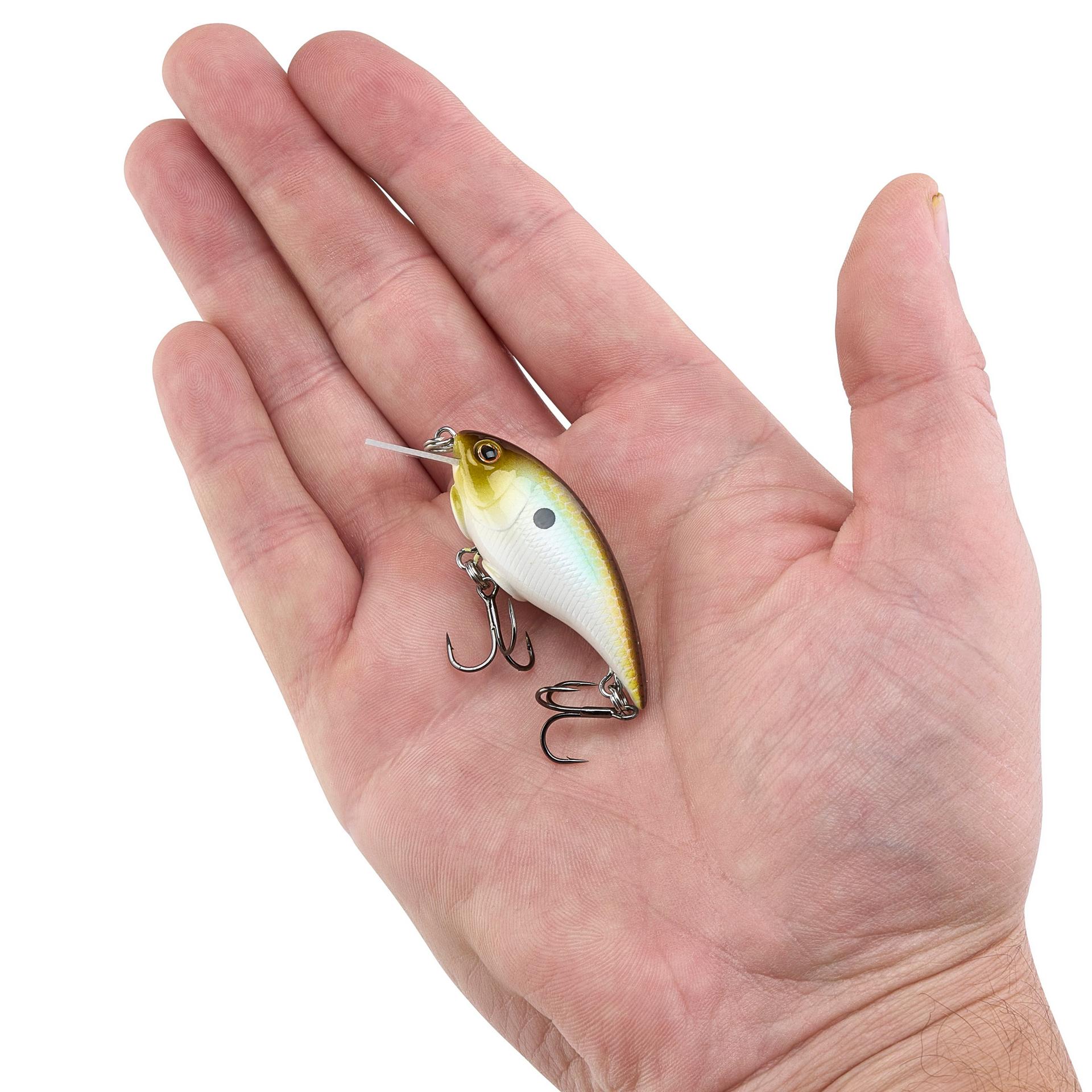 Shallow Money Badger| Berkley®