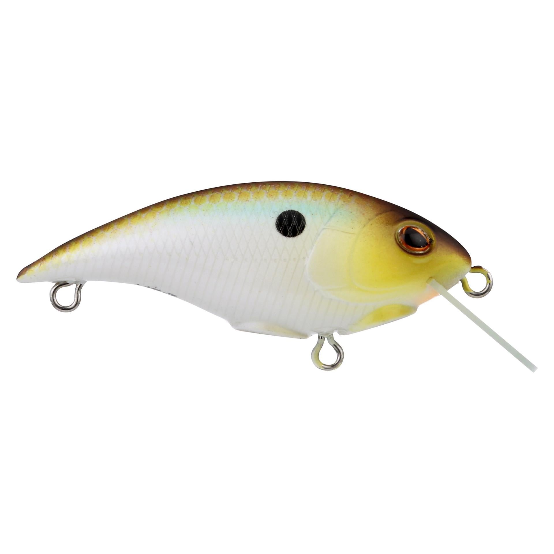 Shallow Money Badger| Berkley®