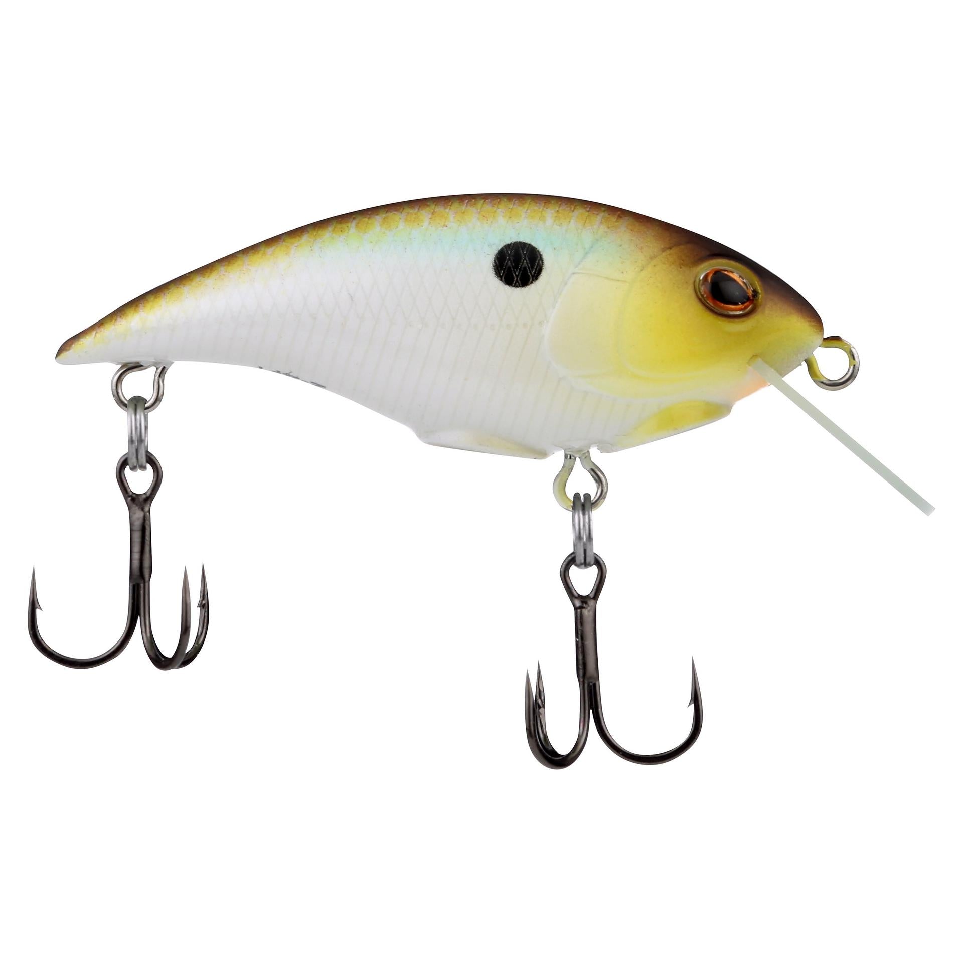 Shallow Money Badger| Berkley®