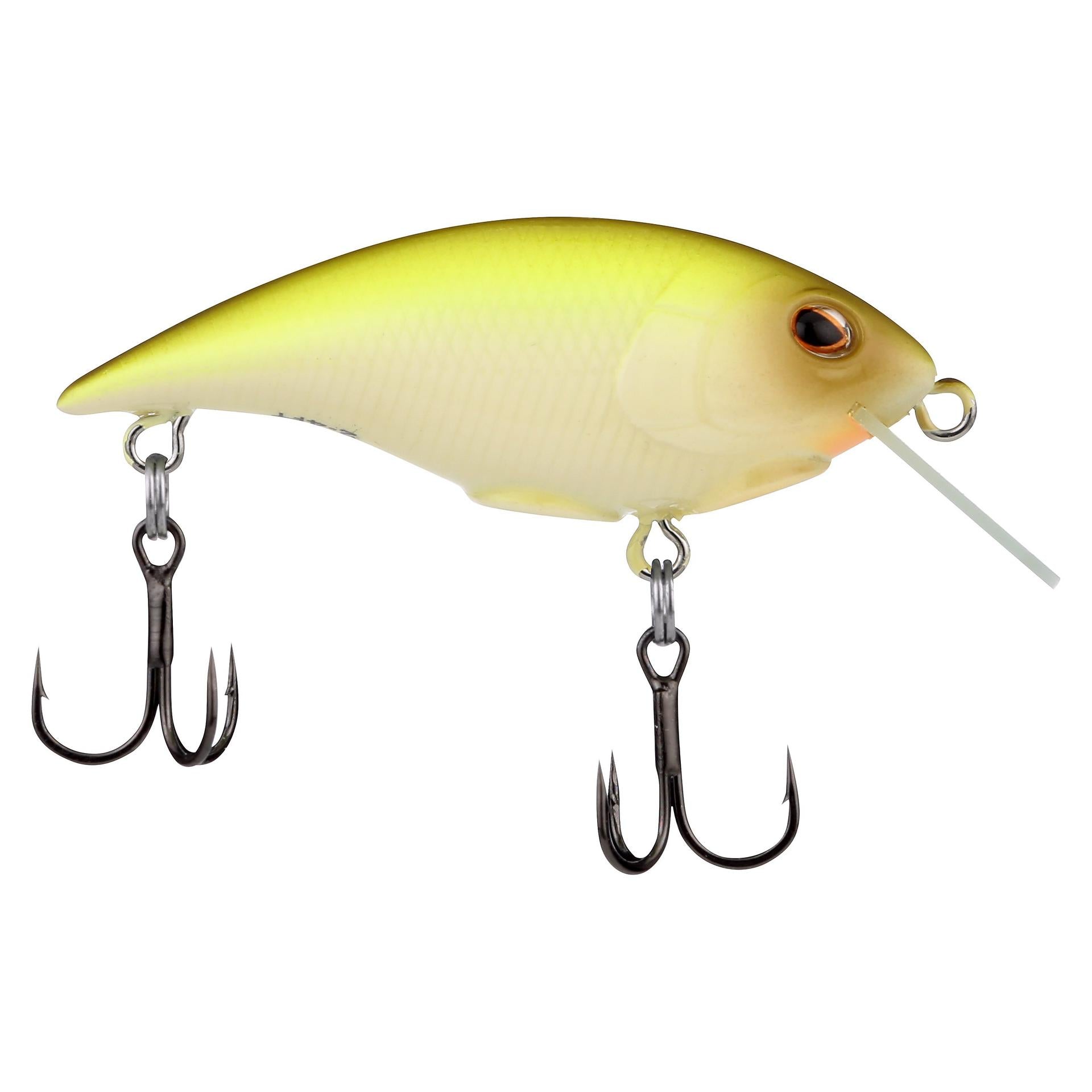 Shallow Money Badger| Berkley®