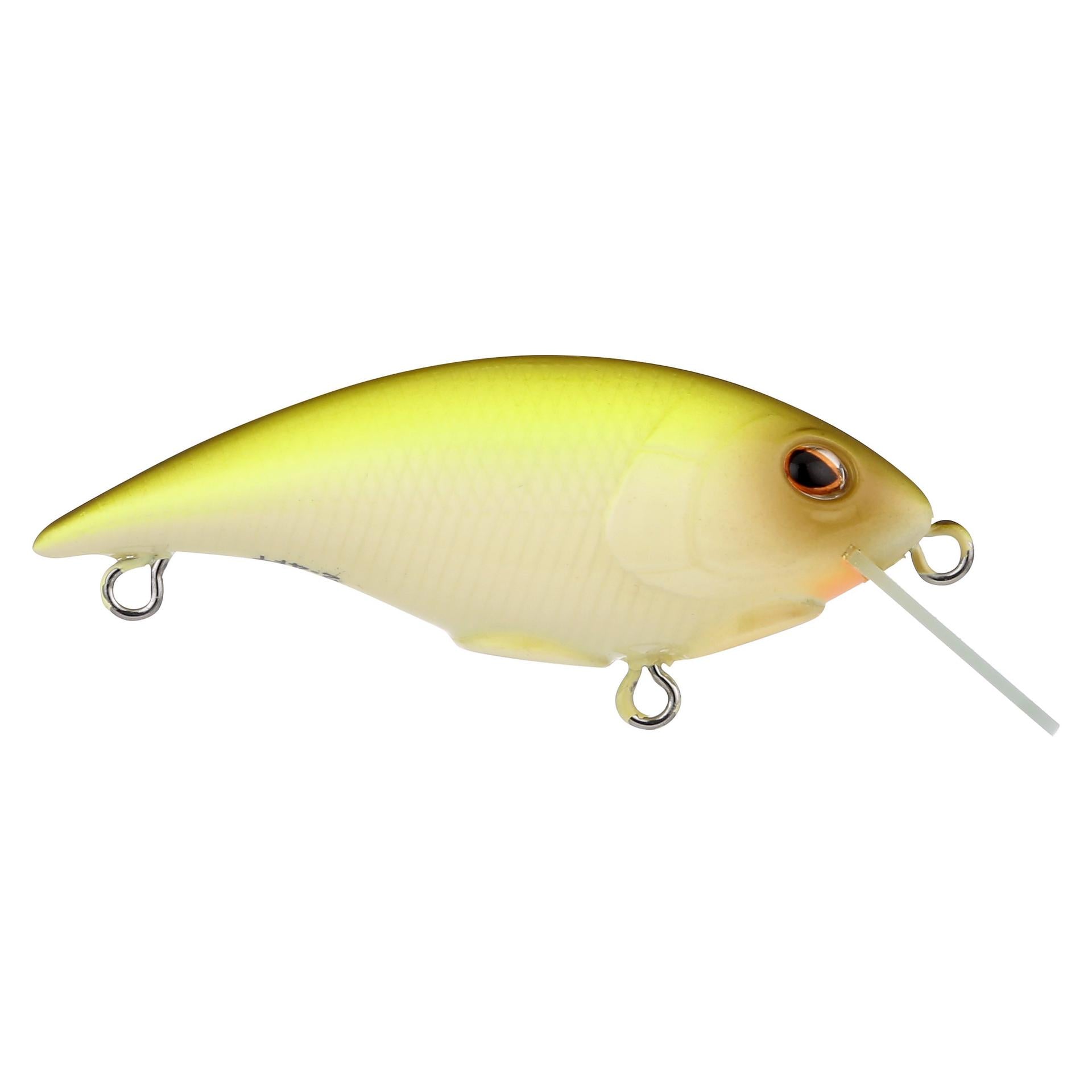 Shallow Money Badger| Berkley®