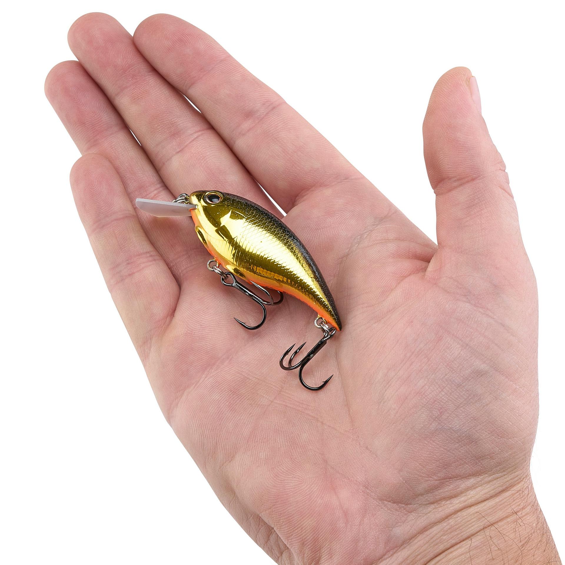 Shallow Money Badger| Berkley®
