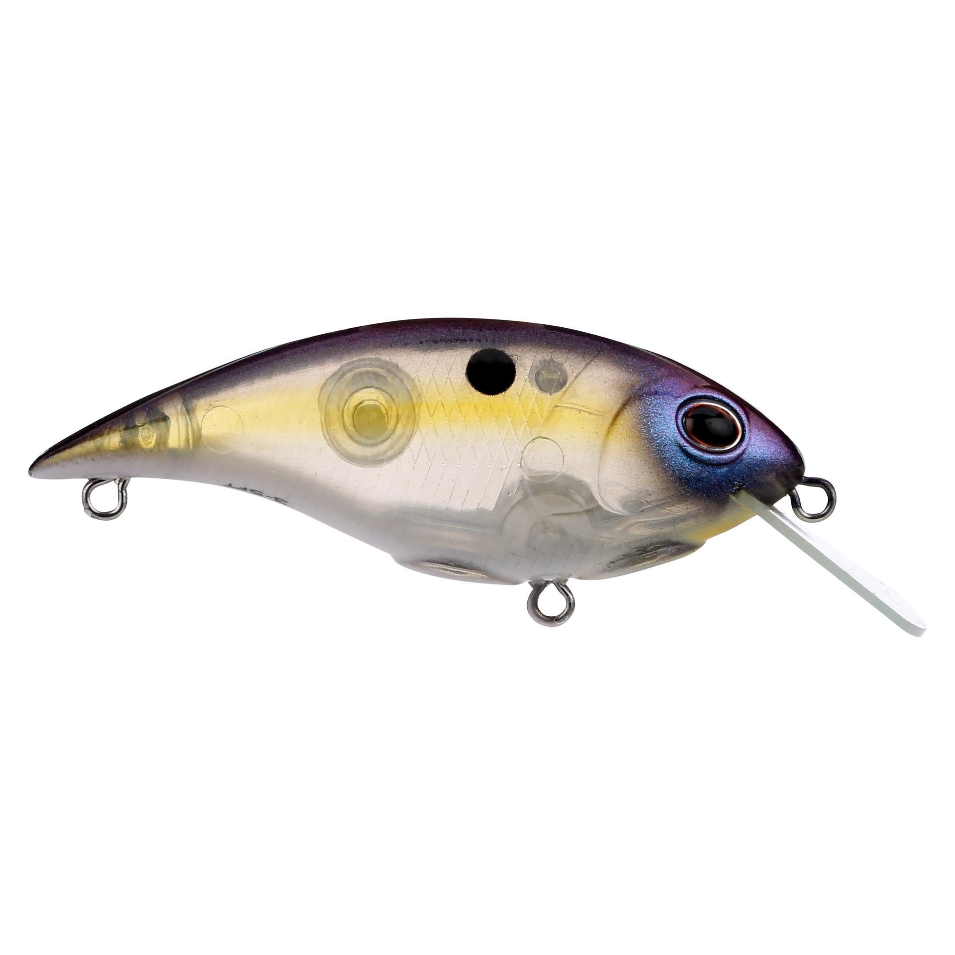 Shallow Money Badger| Berkley®