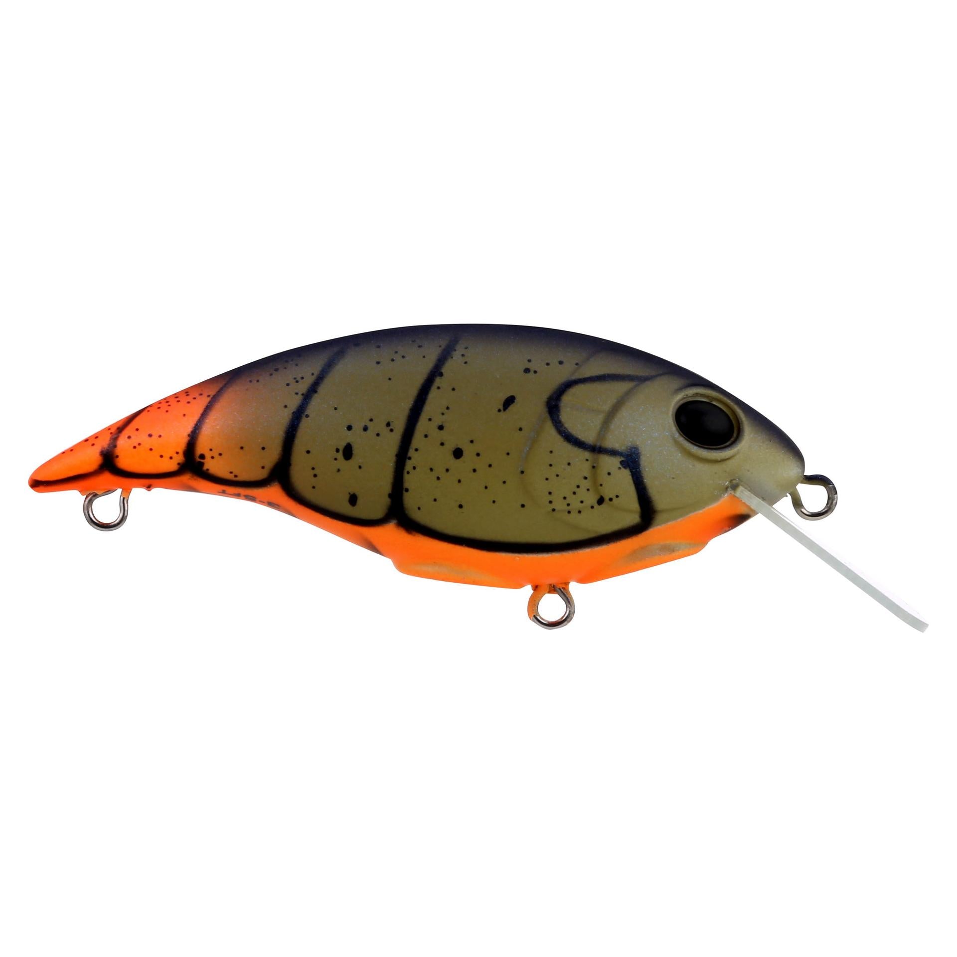 Shallow Money Badger| Berkley®