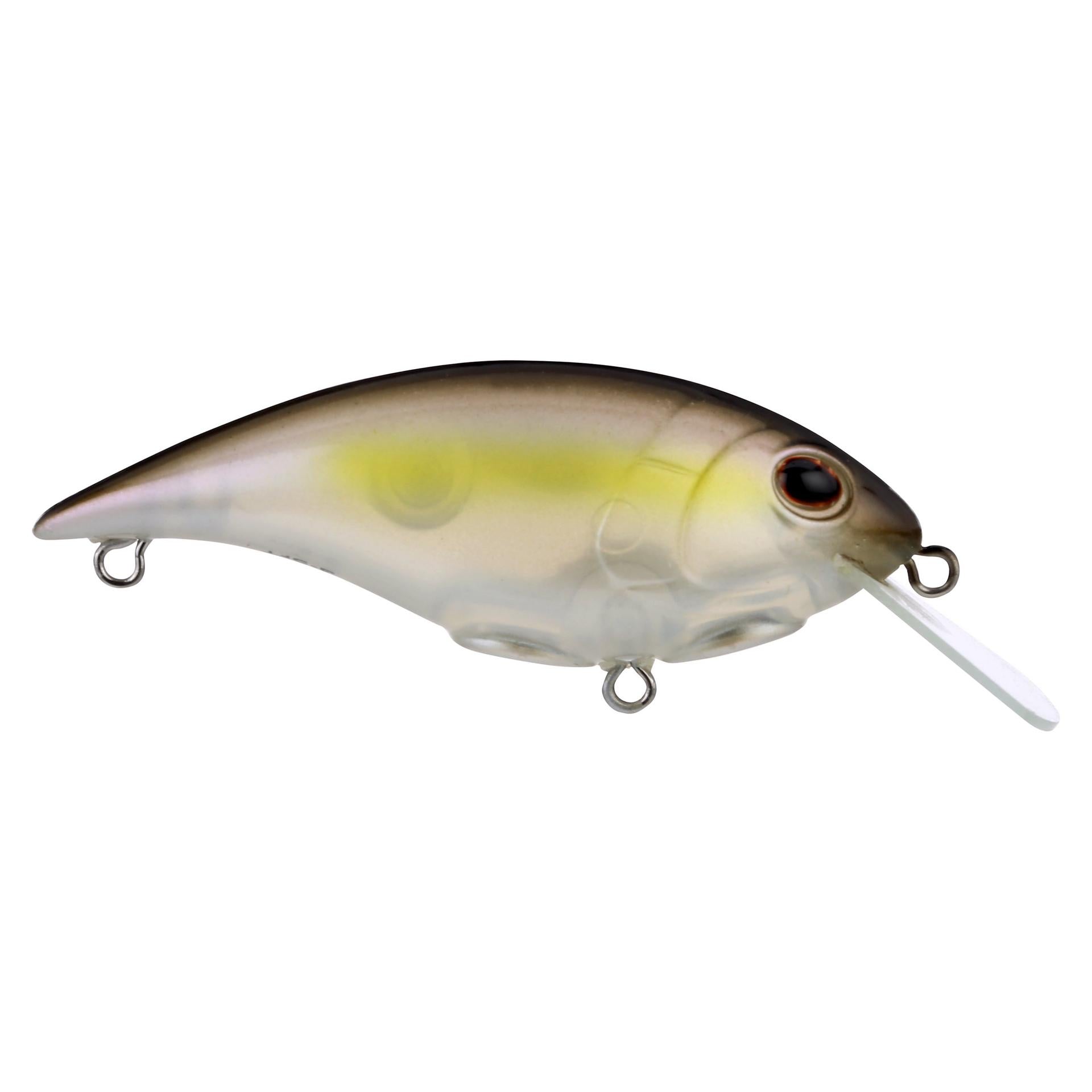 Shallow Money Badger| Berkley®