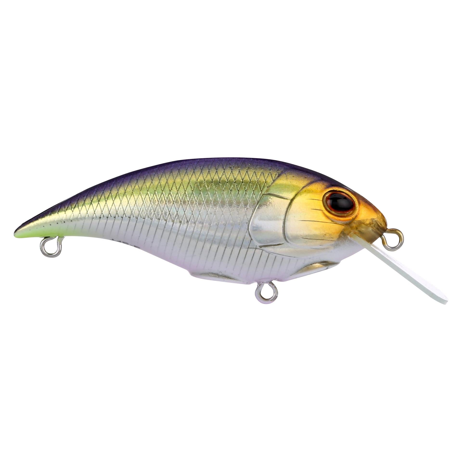 Shallow Money Badger| Berkley®