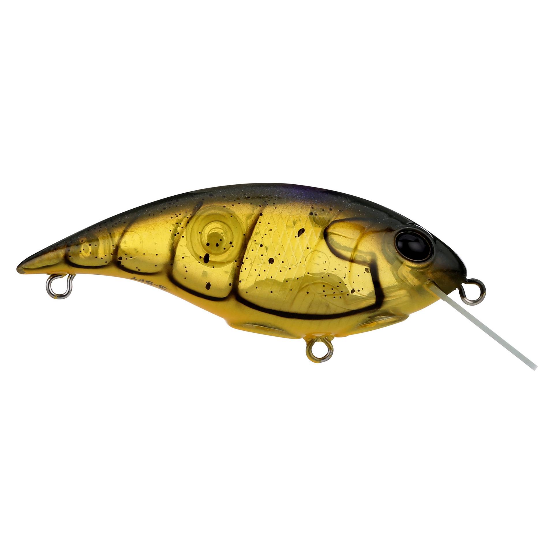 Shallow Money Badger| Berkley®