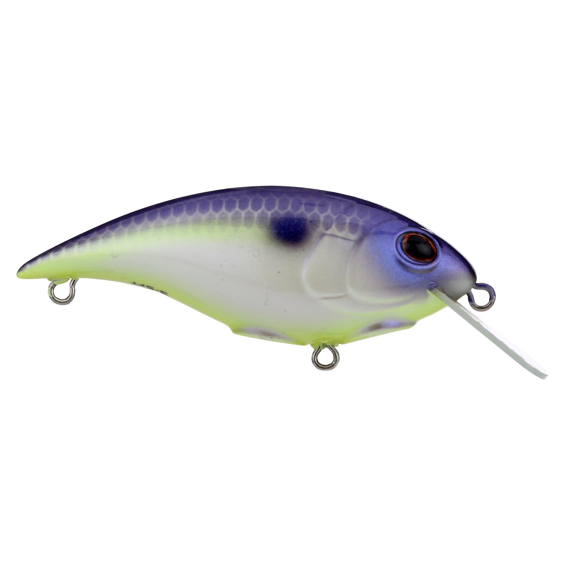 Shallow Money Badger| Berkley®