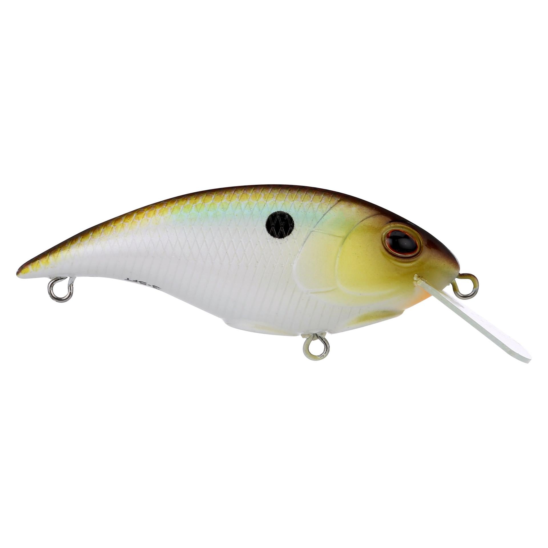 Shallow Money Badger| Berkley®