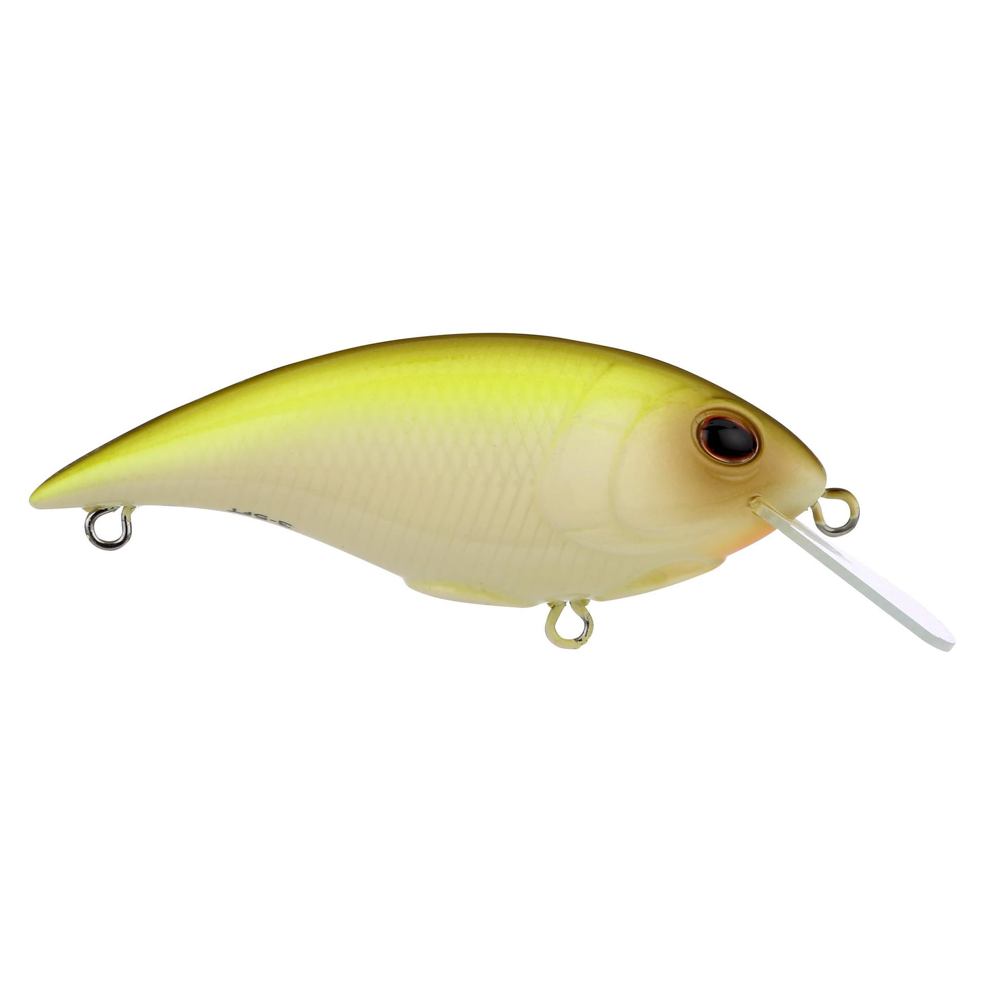 Shallow Money Badger| Berkley®