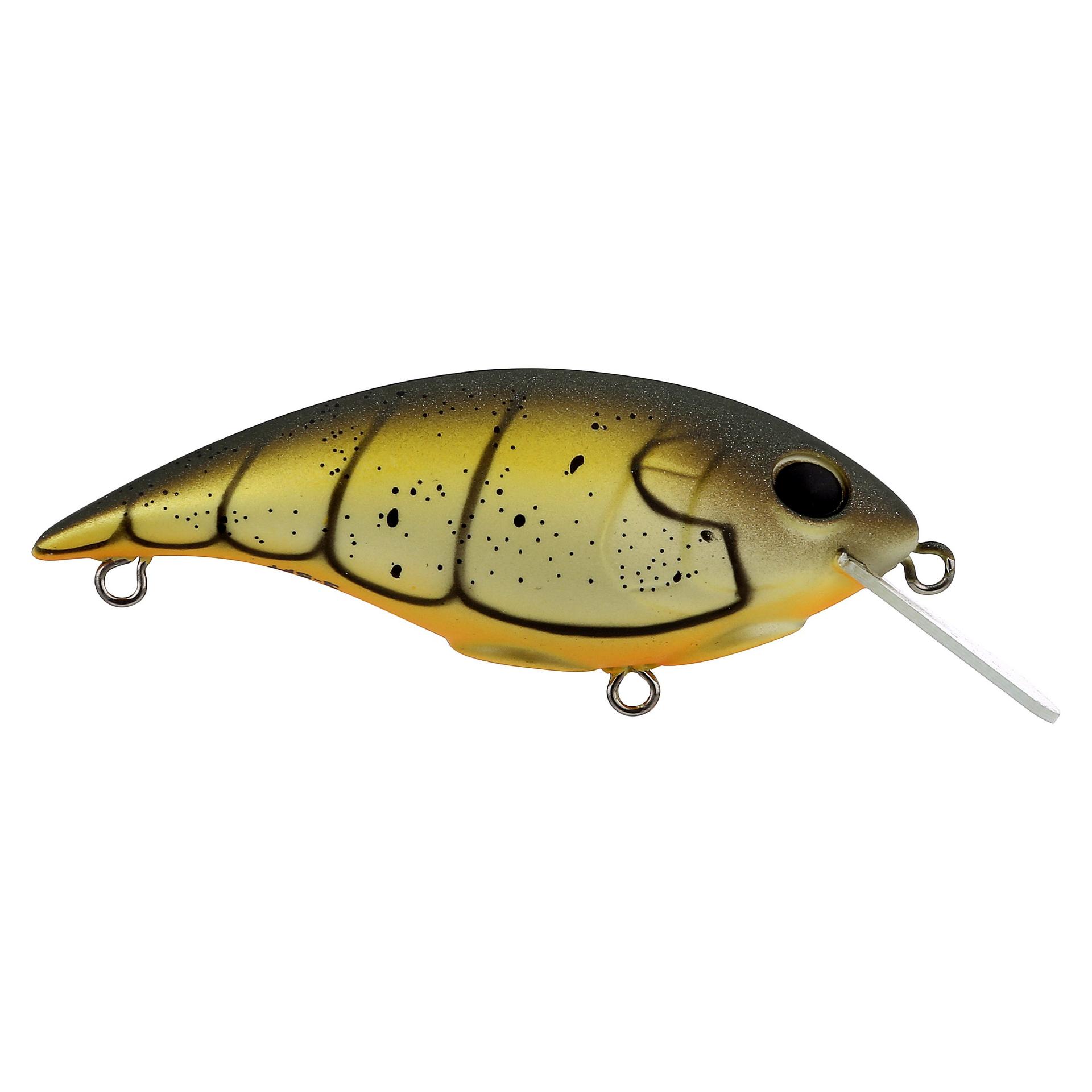 Shallow Money Badger| Berkley®
