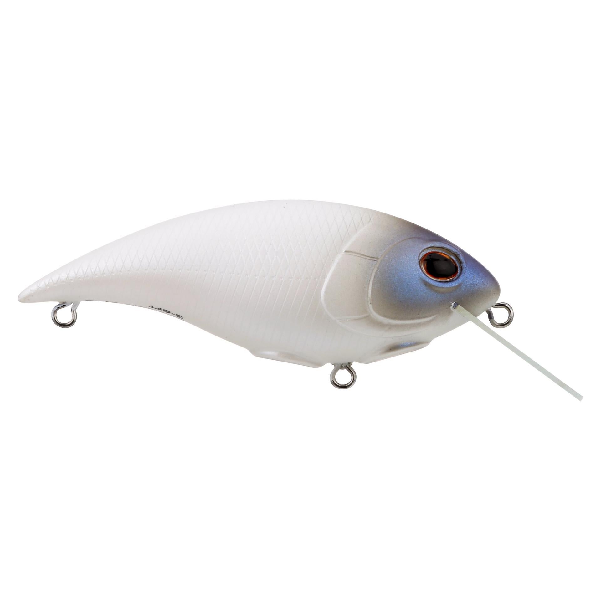 Shallow Money Badger| Berkley®