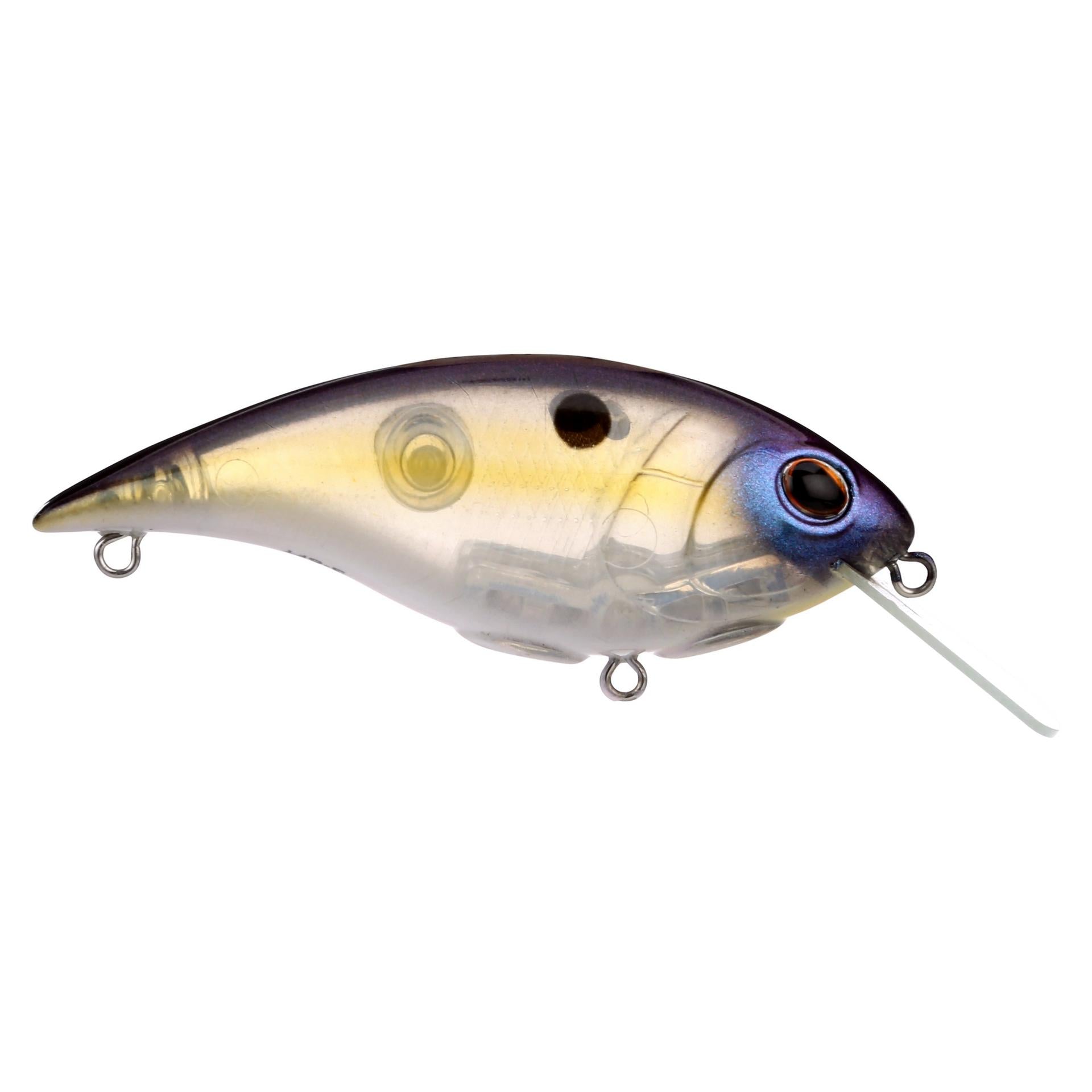 Shallow Money Badger| Berkley®