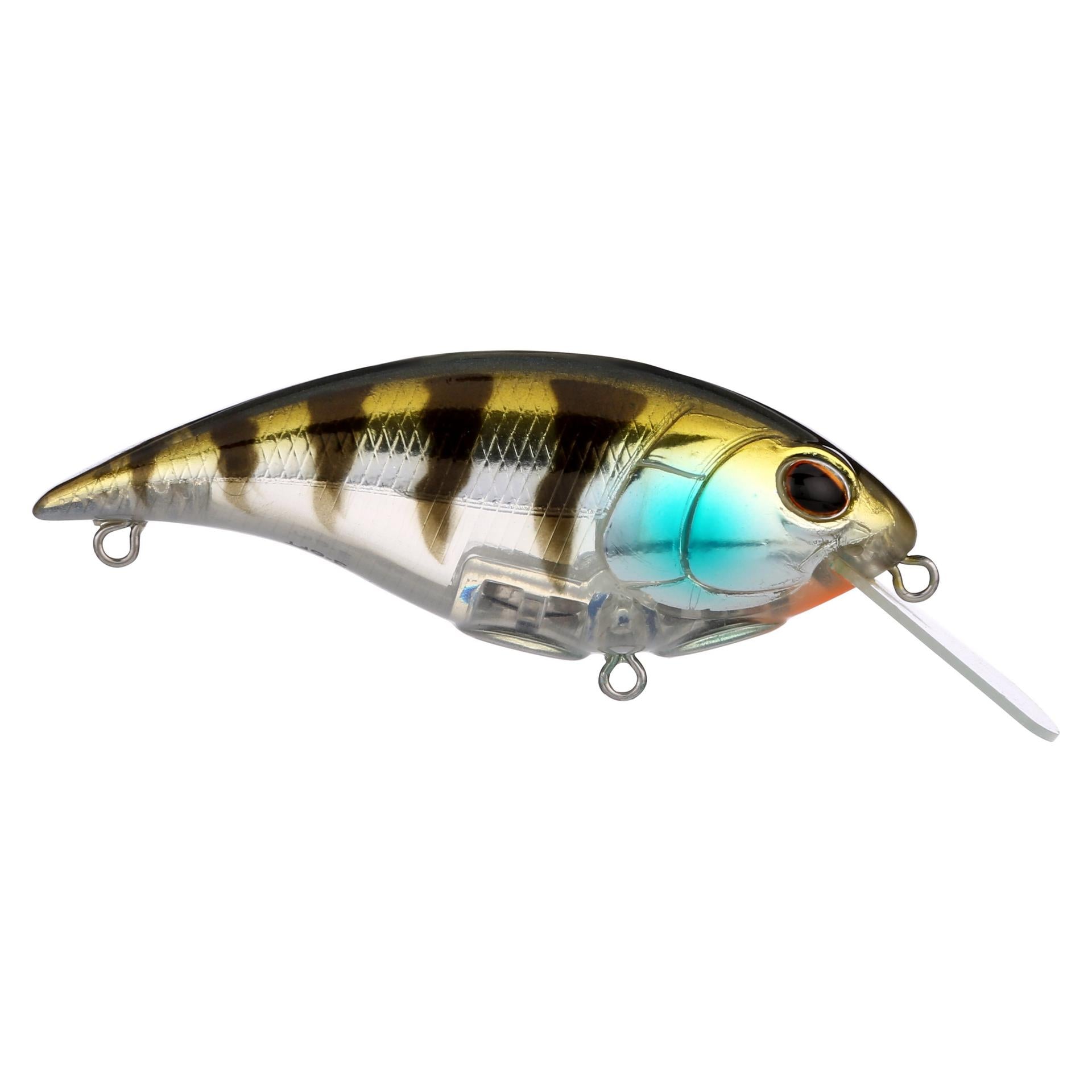 Shallow Money Badger| Berkley®