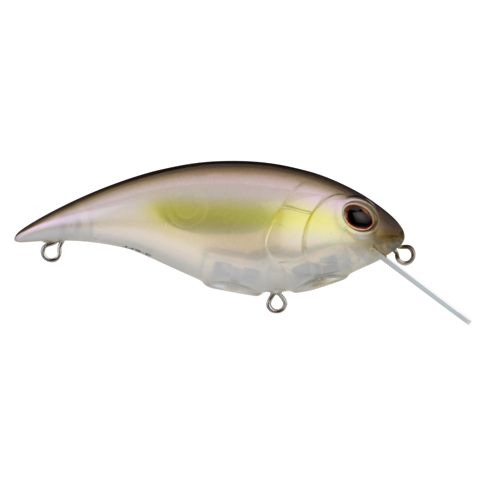 Shallow Money Badger| Berkley®