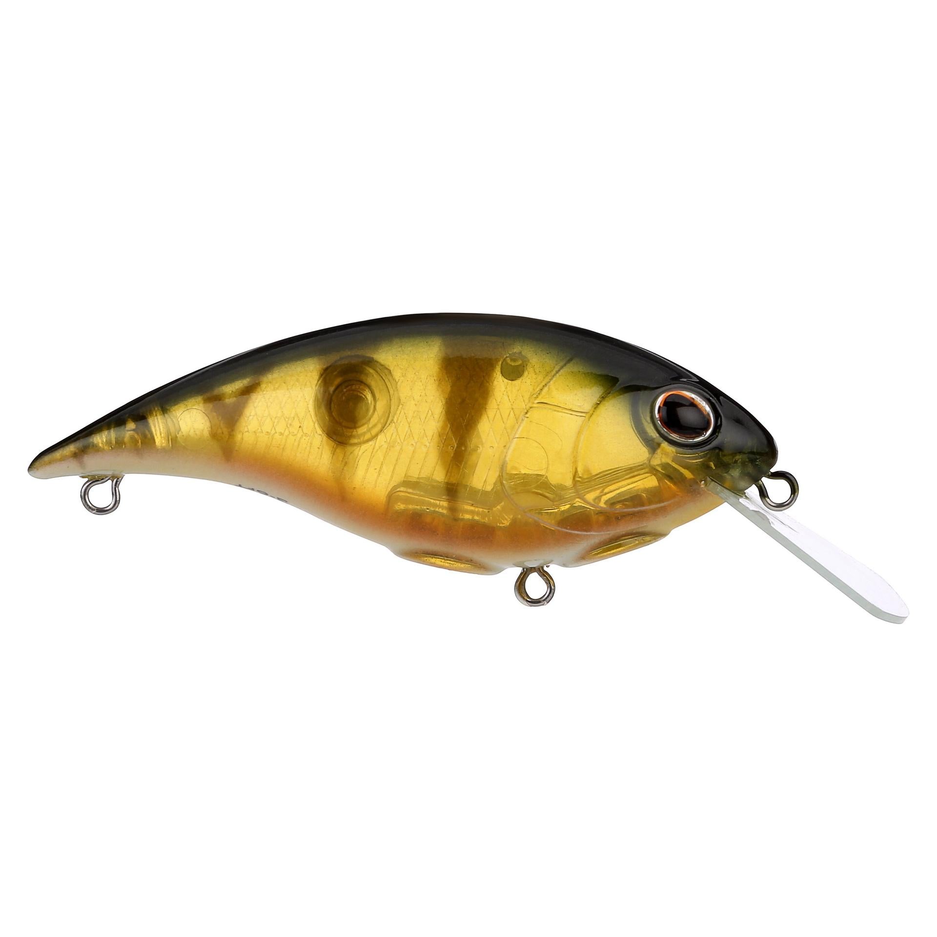 Shallow Money Badger| Berkley®