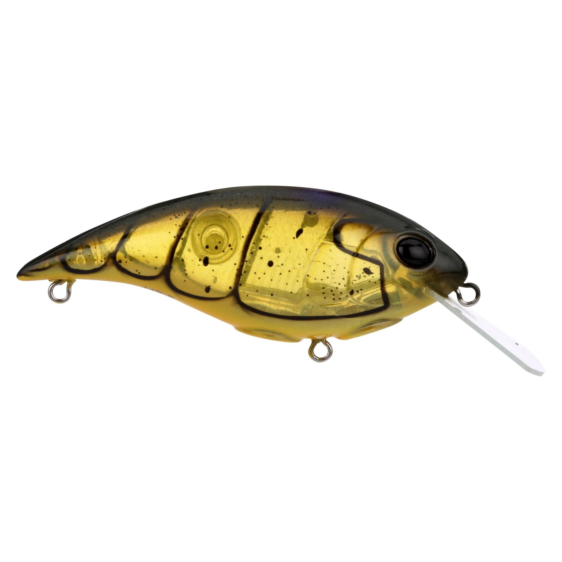 Shallow Money Badger| Berkley®