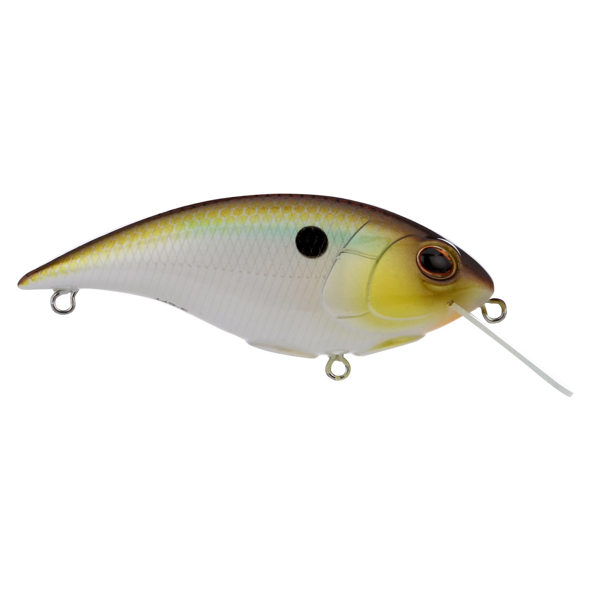 Shallow Money Badger| Berkley®