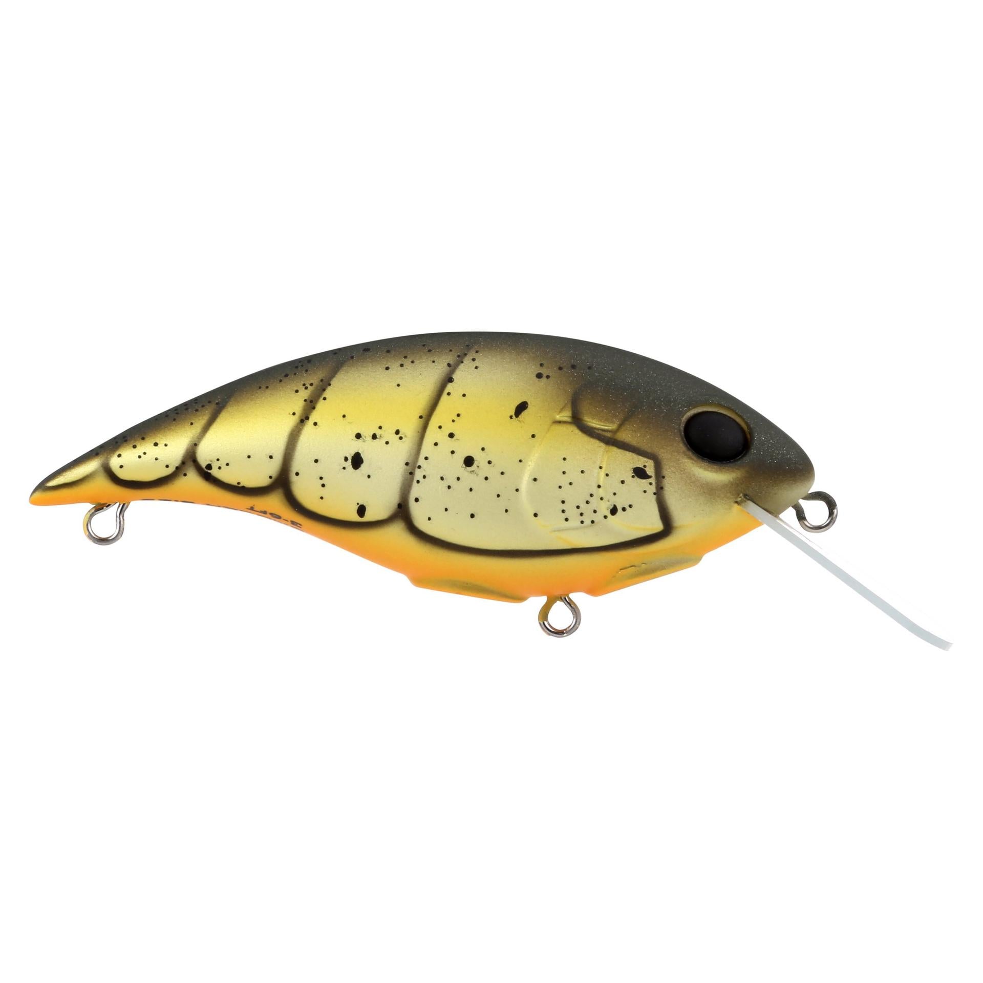 Shallow Money Badger| Berkley®
