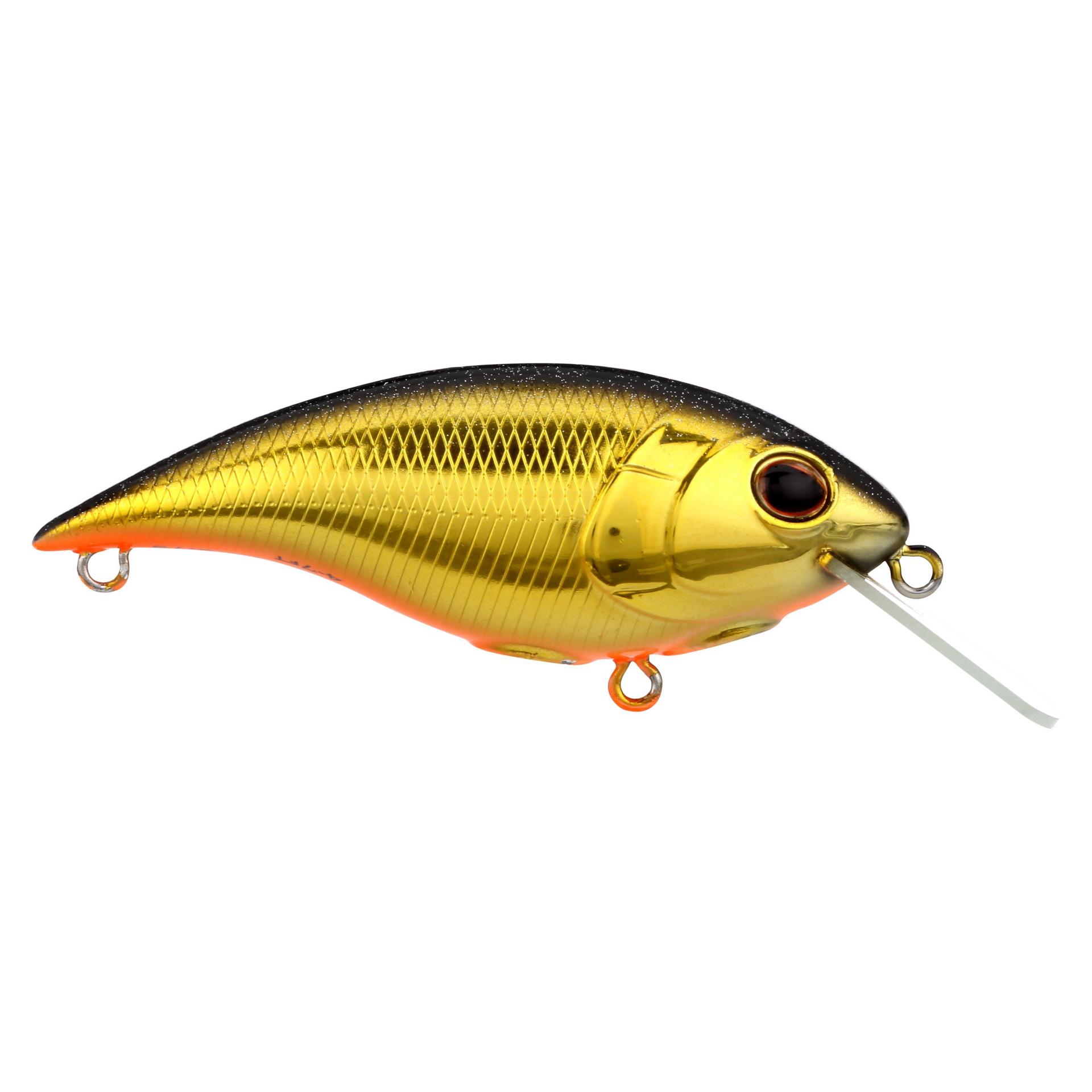 Shallow Money Badger| Berkley®