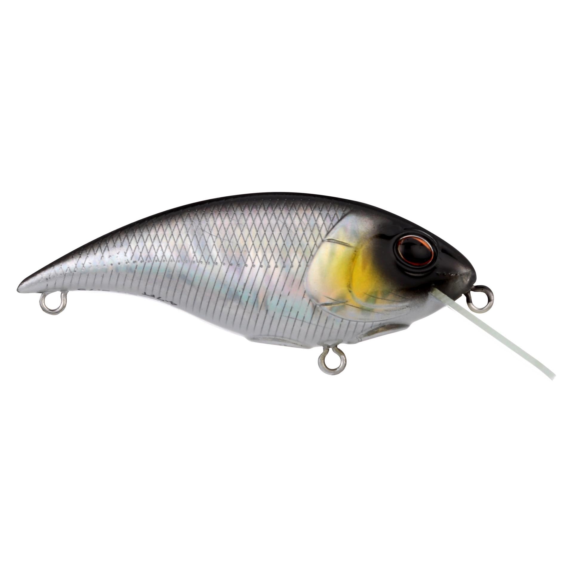 Shallow Money Badger| Berkley®