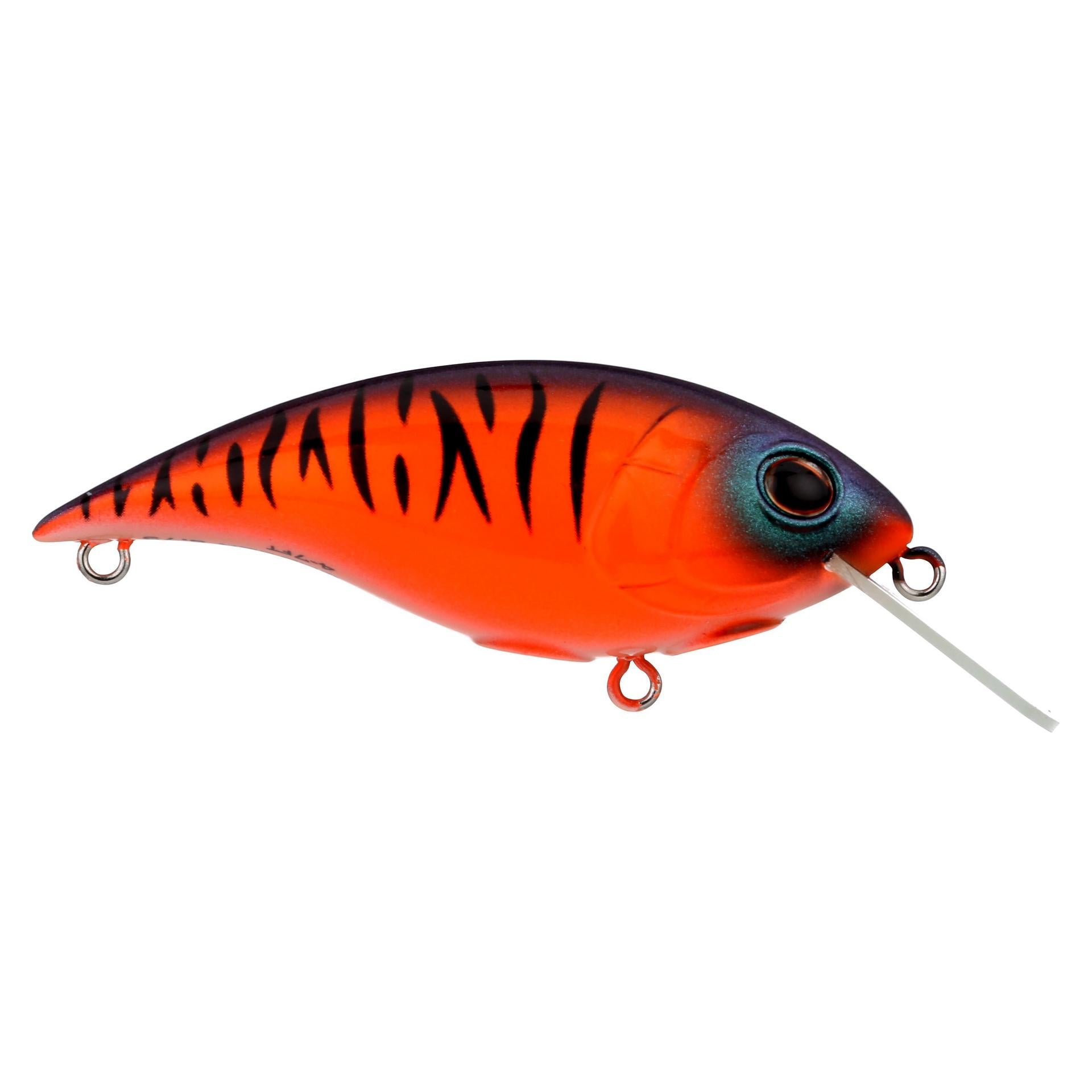 Shallow Money Badger| Berkley®