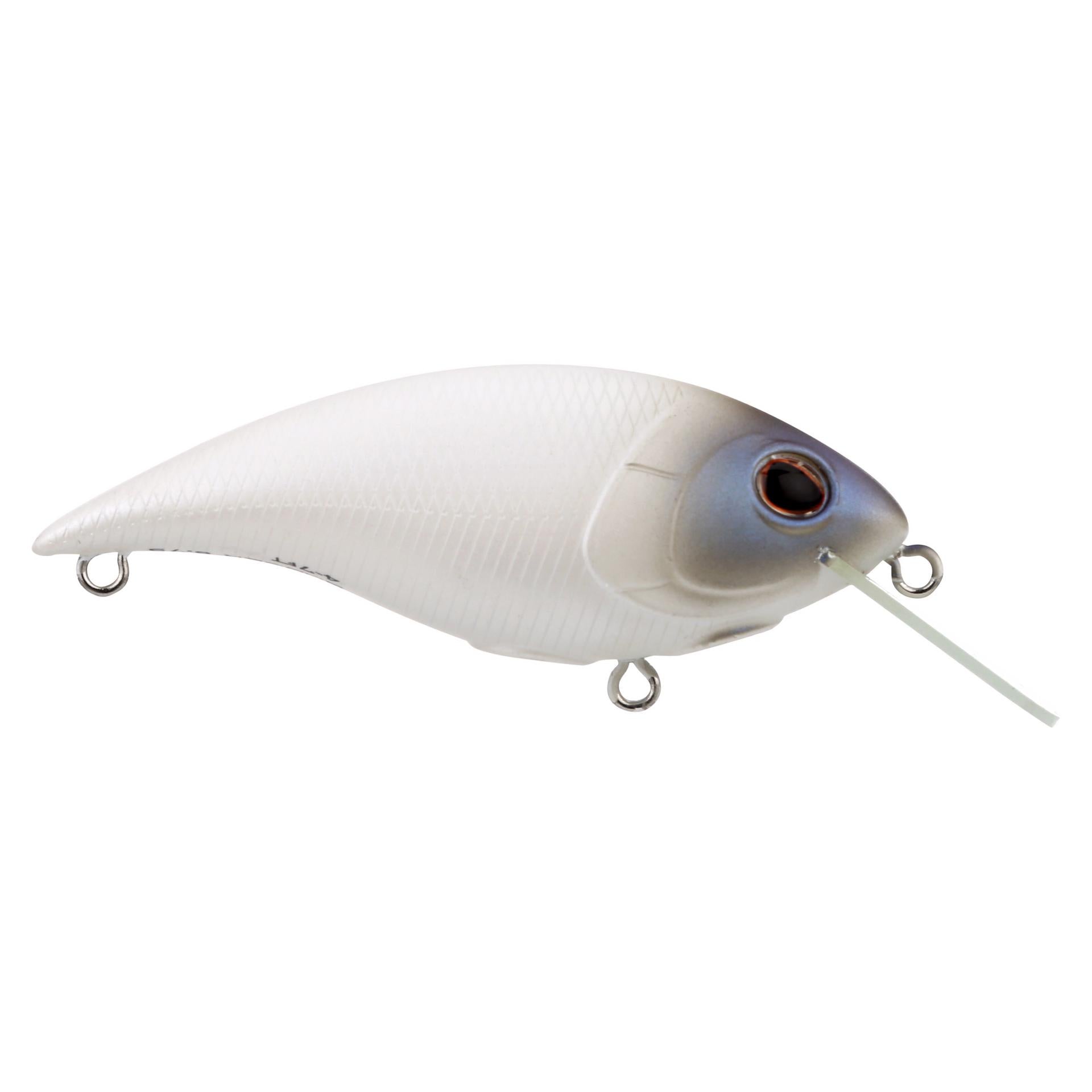 Shallow Money Badger| Berkley®
