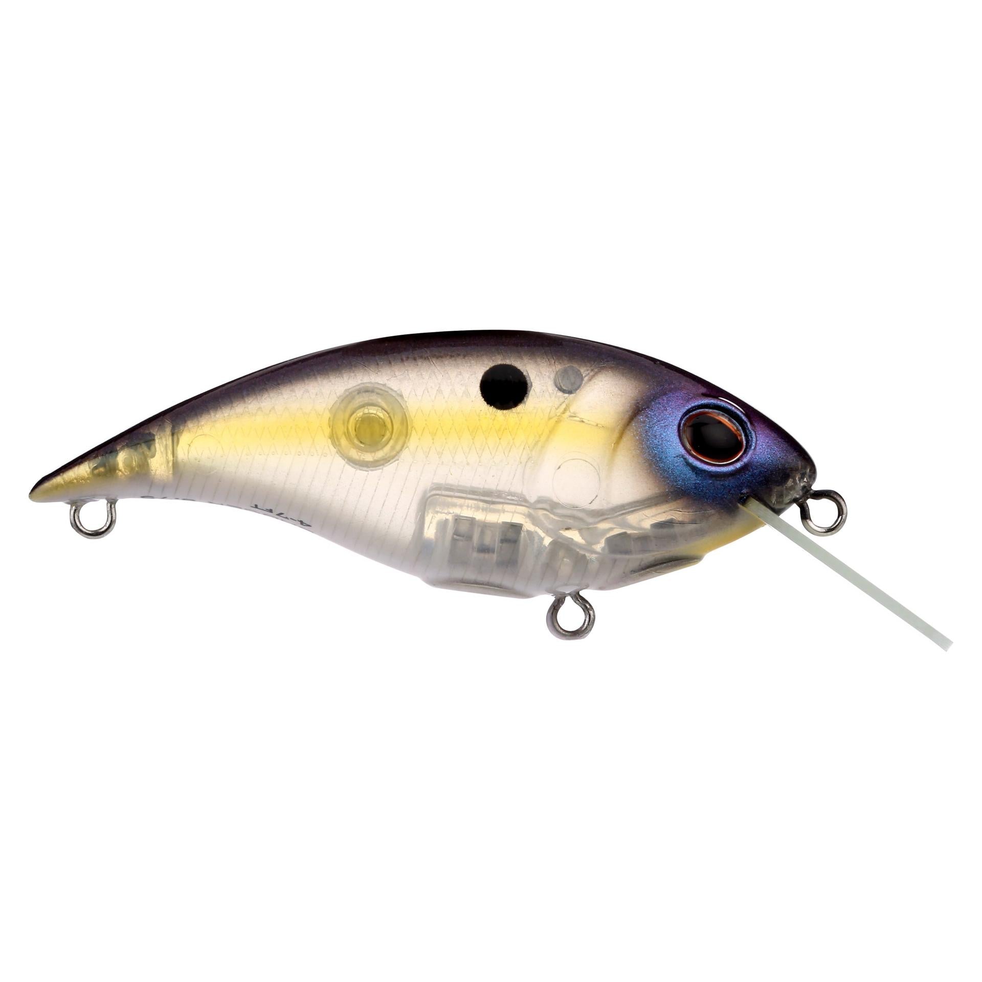 Shallow Money Badger| Berkley®