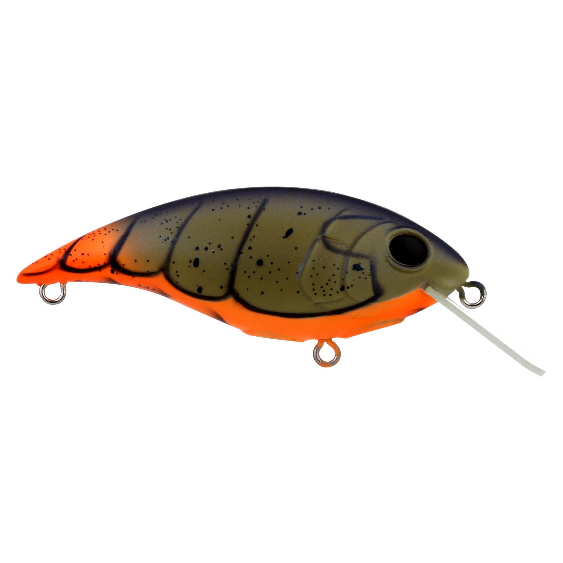 Shallow Money Badger| Berkley®