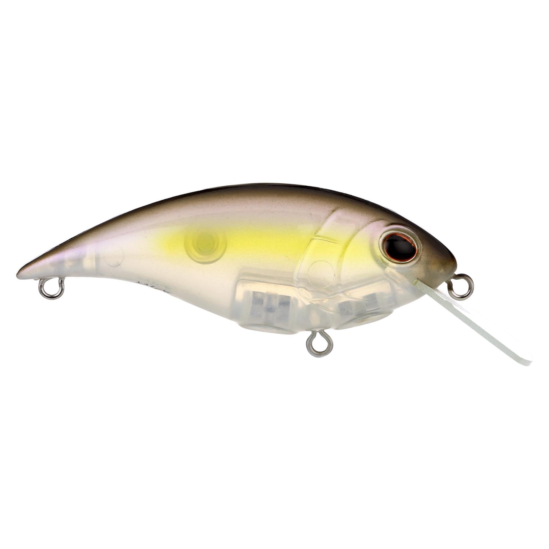 Shallow Money Badger| Berkley®